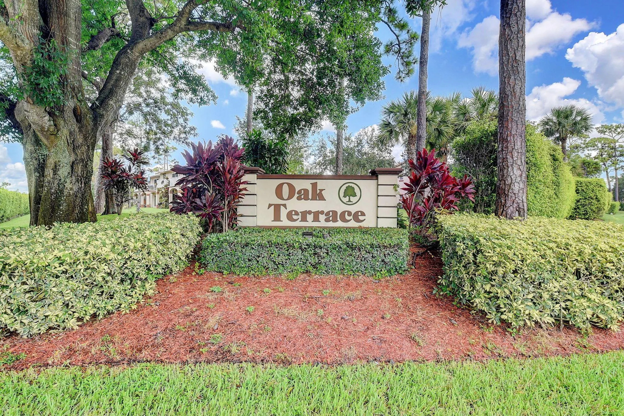 4169 Oak Terrace Drive
