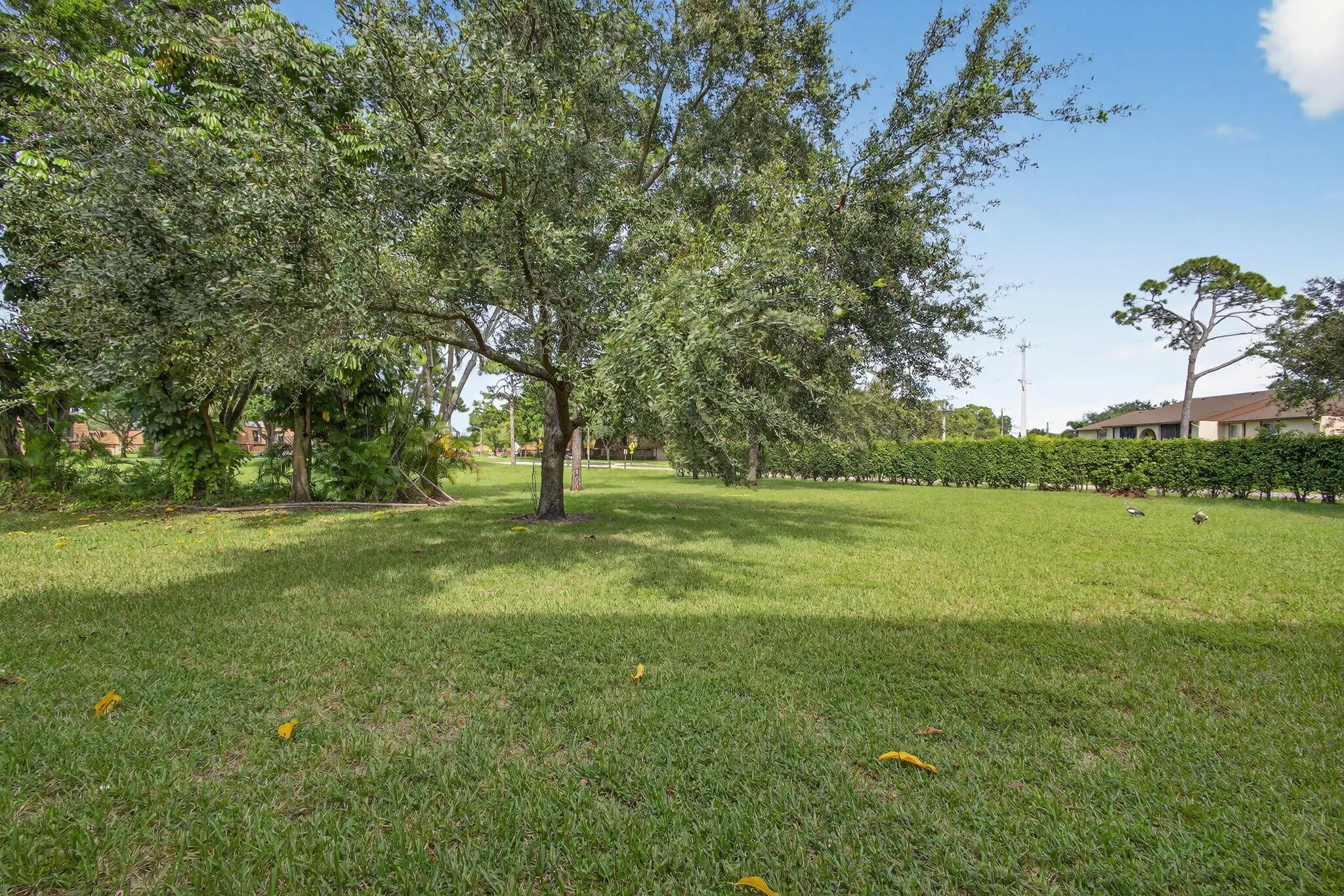 4169 Oak Terrace Drive
