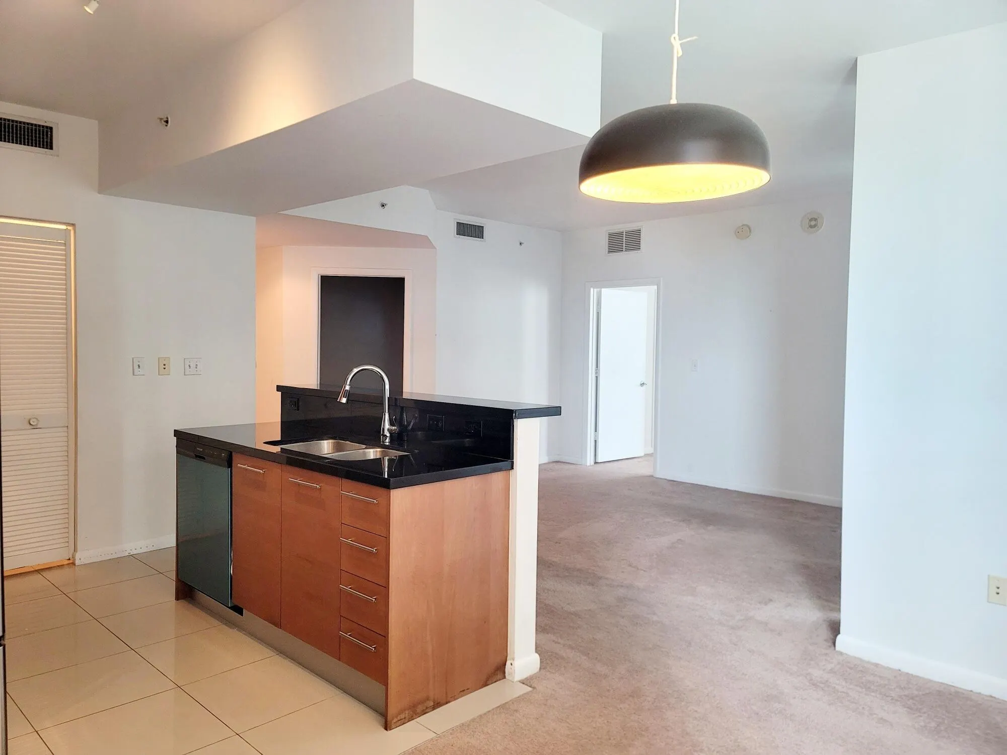 244 Biscayne Boulevard, #1008
