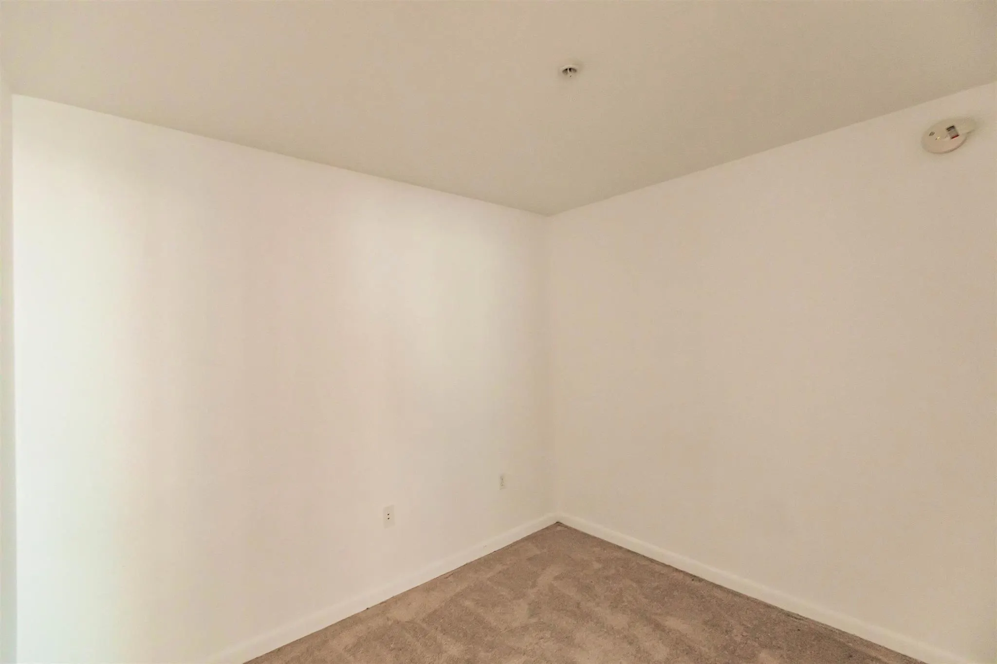 244 Biscayne Boulevard, #1008