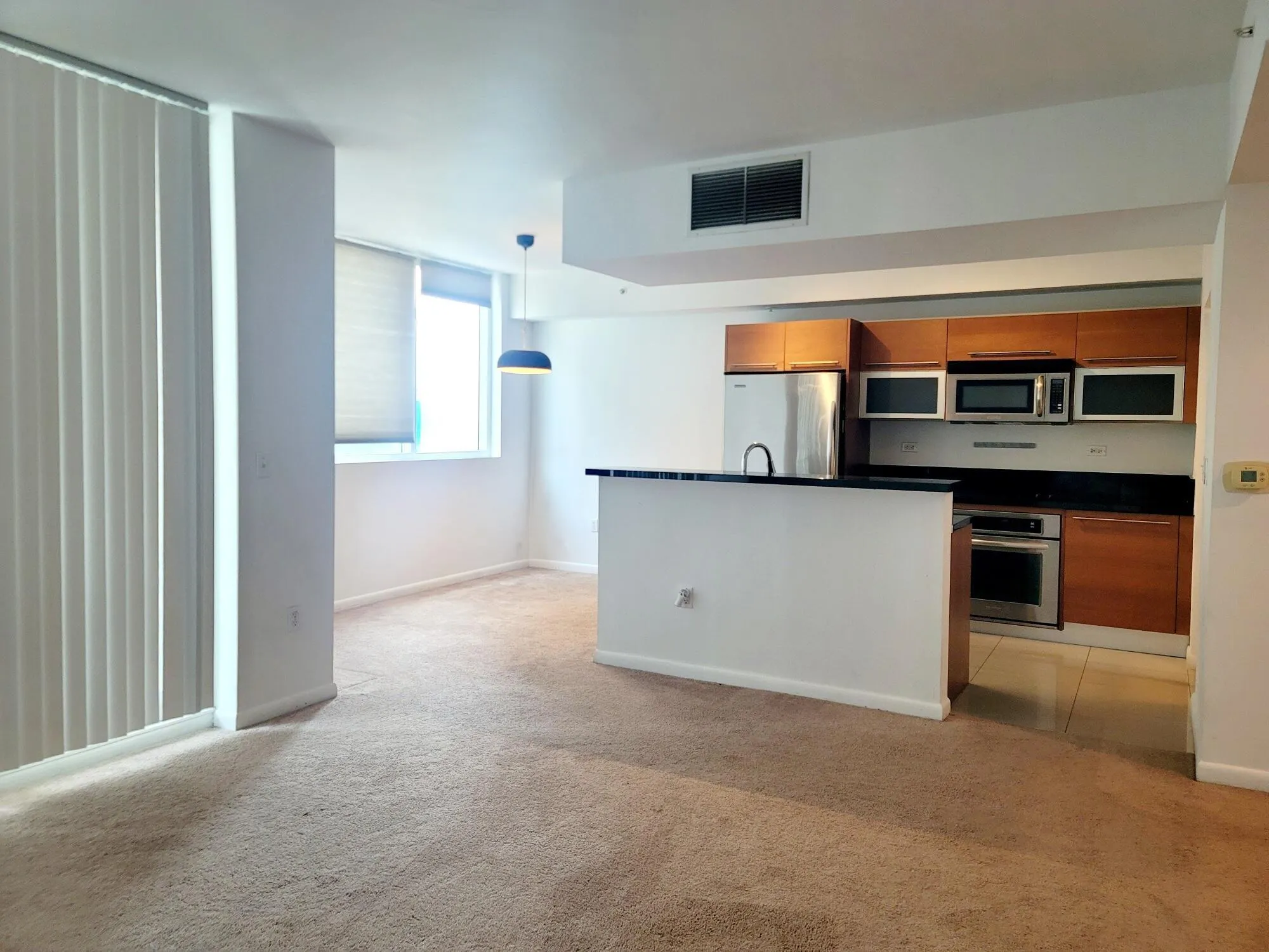 244 Biscayne Boulevard, #1008