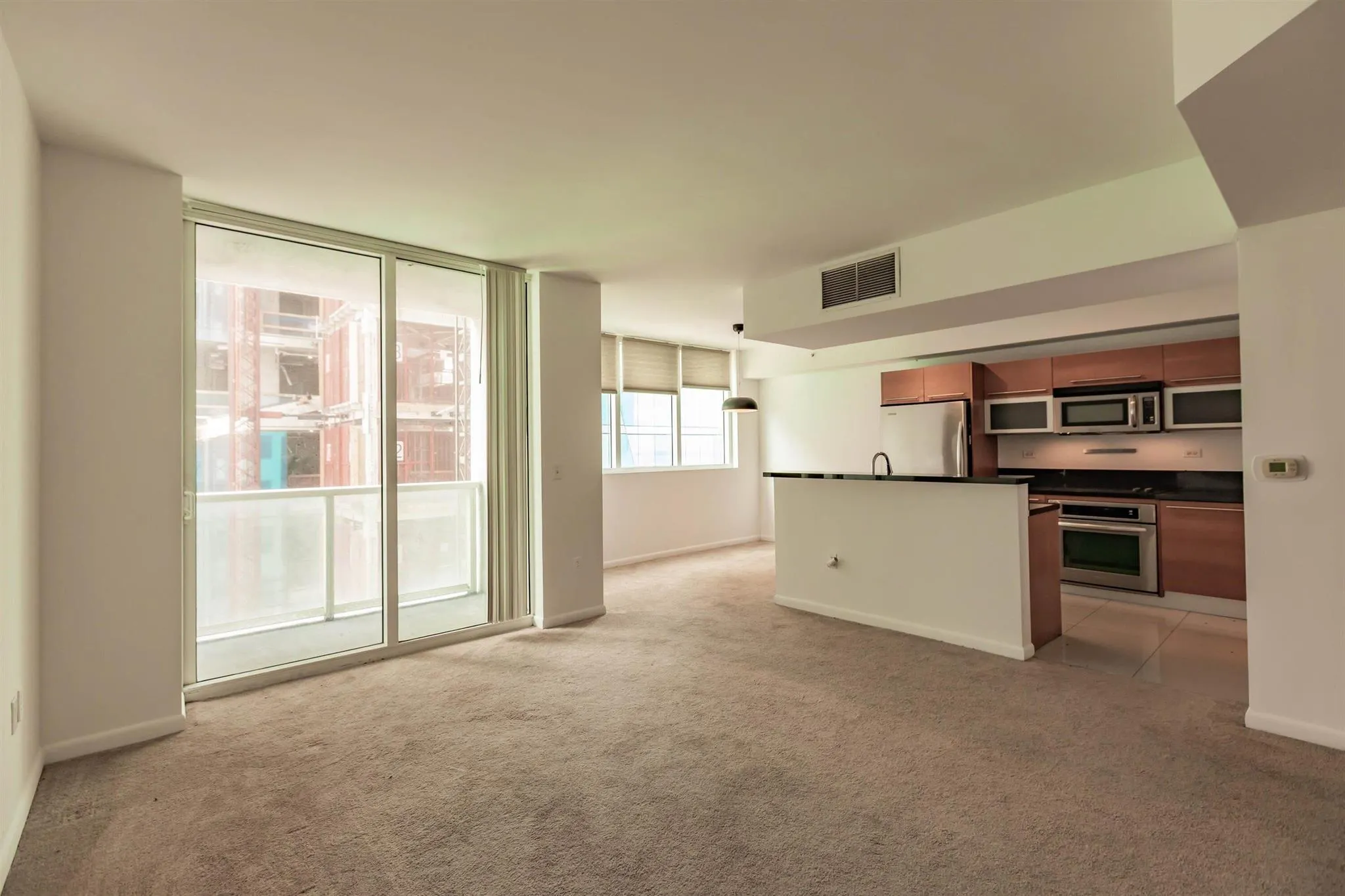 244 Biscayne Boulevard, #1008