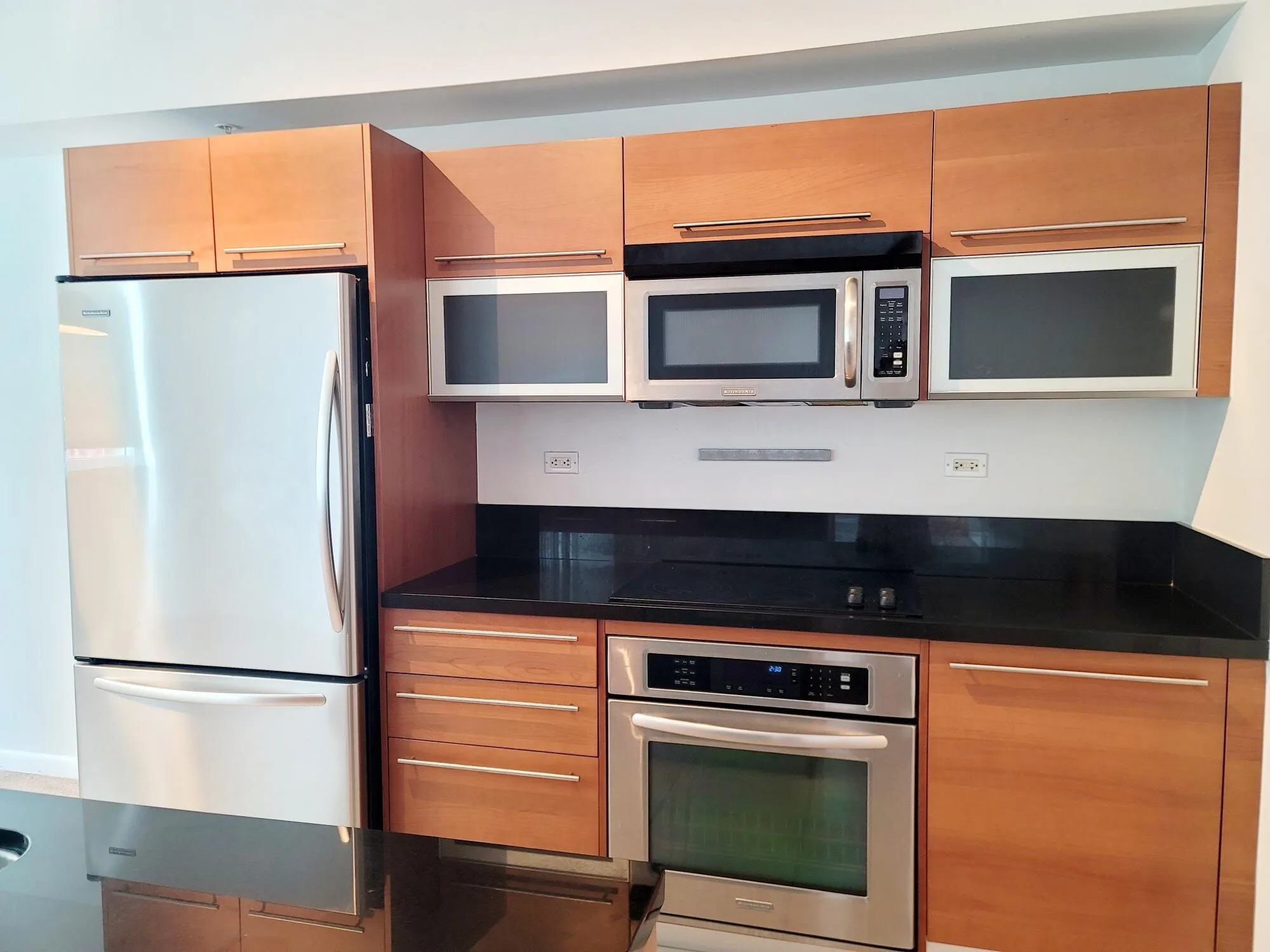 244 Biscayne Boulevard, #1008