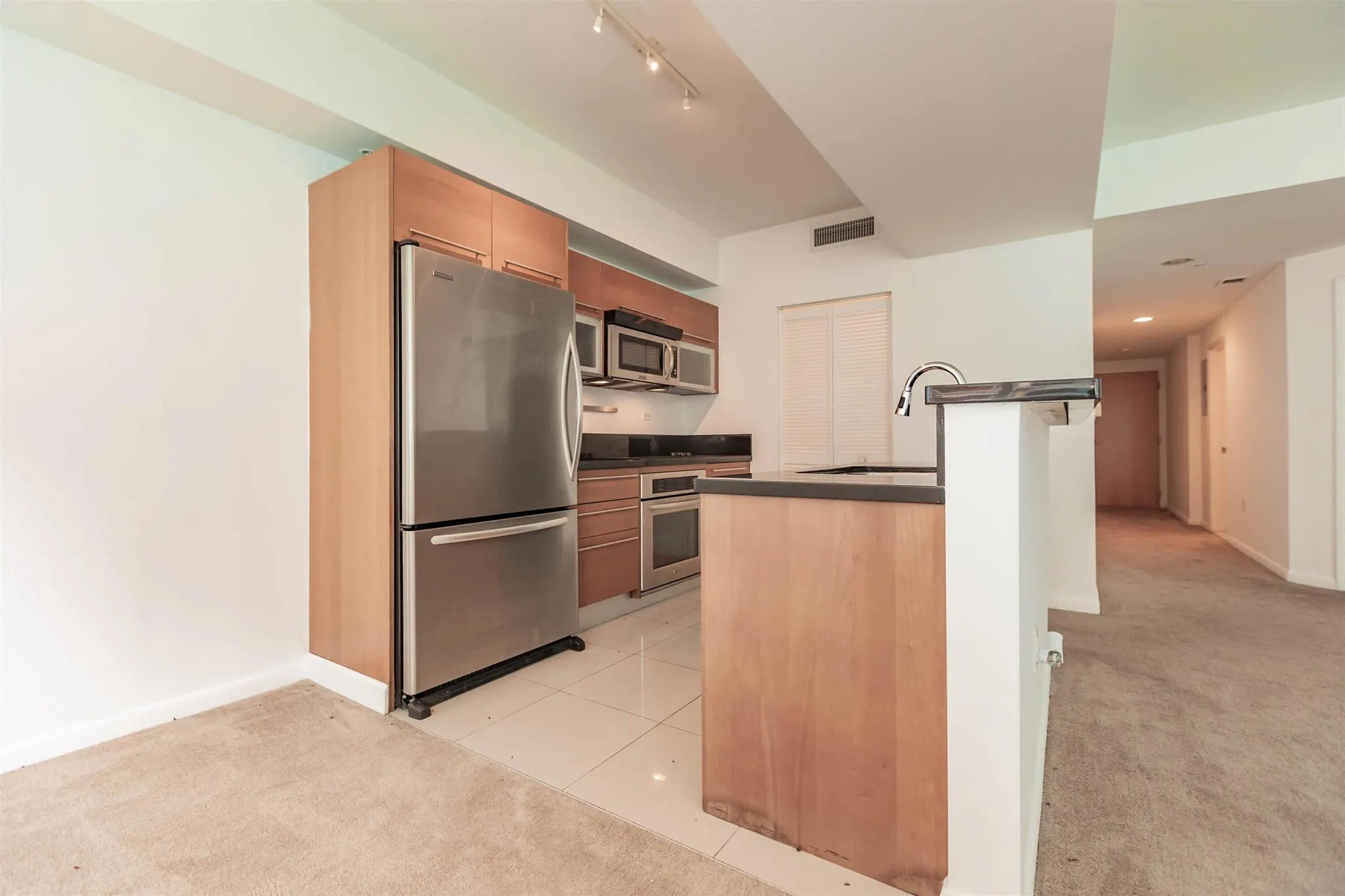 244 Biscayne Boulevard, #1008