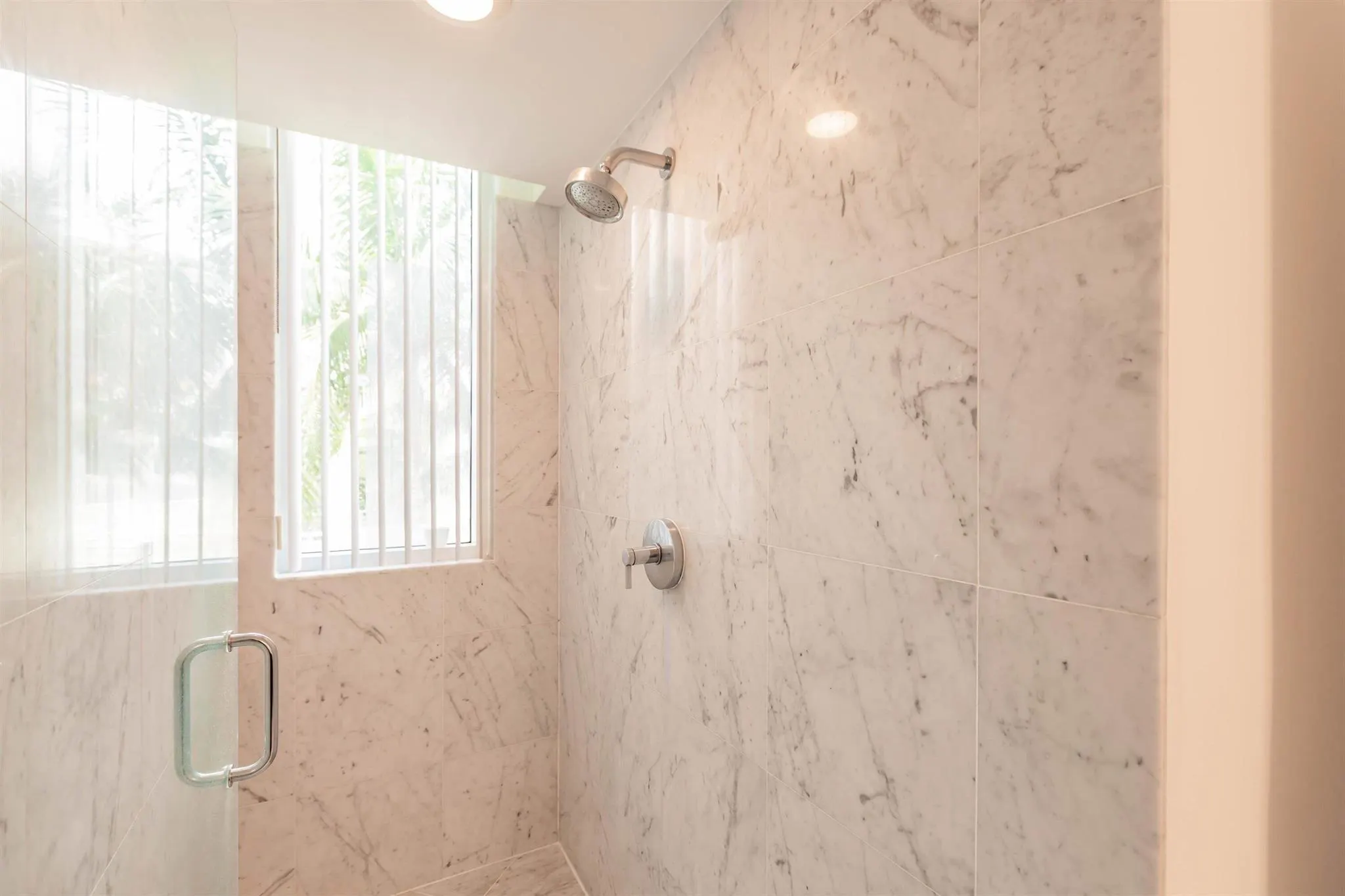 244 Biscayne Boulevard, #1008