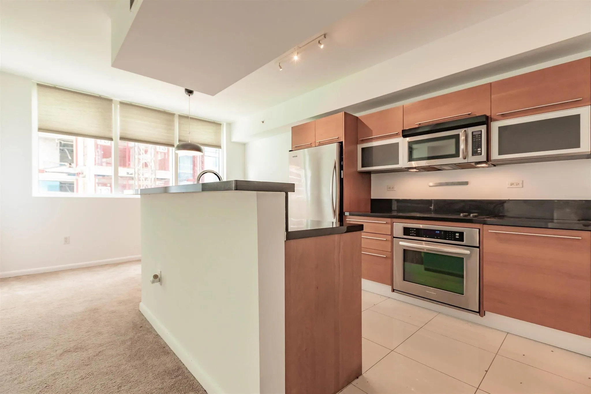244 Biscayne Boulevard, #1008