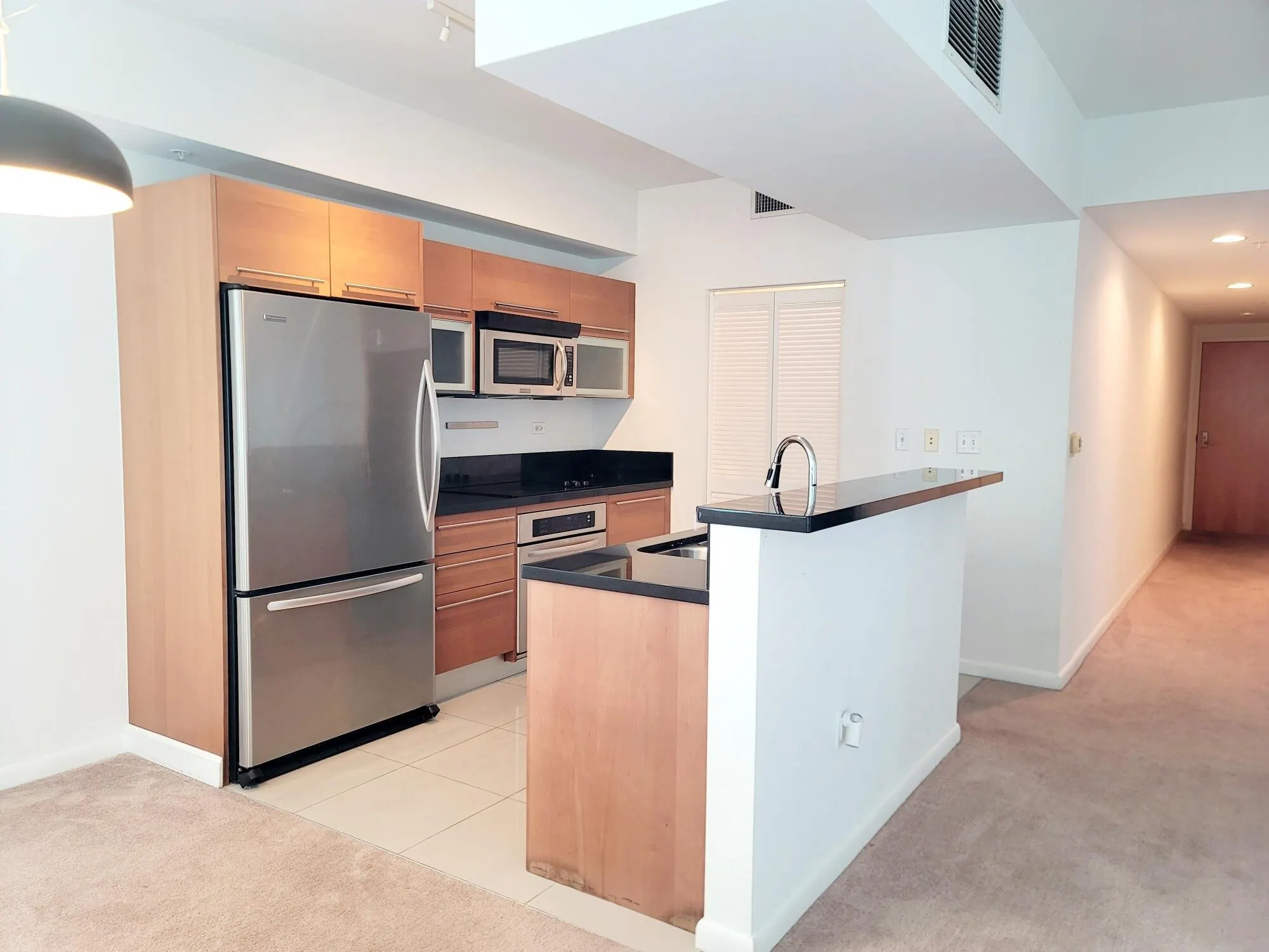 244 Biscayne Boulevard, #1008