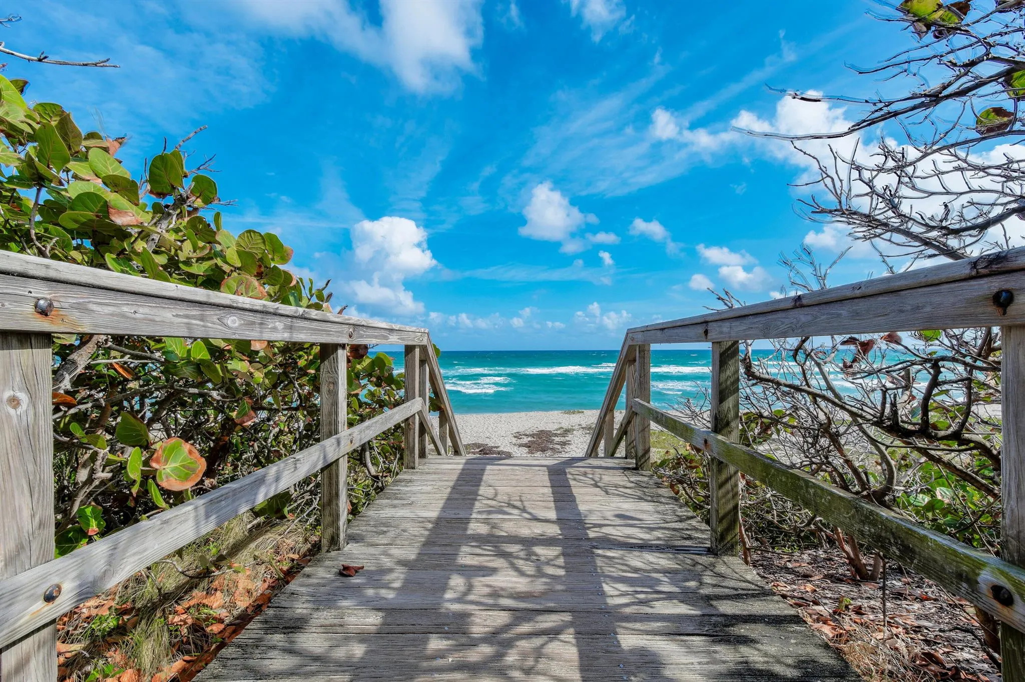 1901 Marina Isle Way, #305