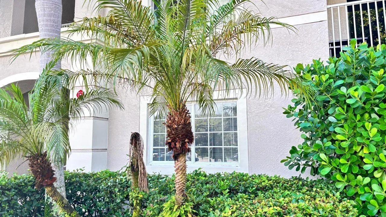 5025 Wiles Road, #107