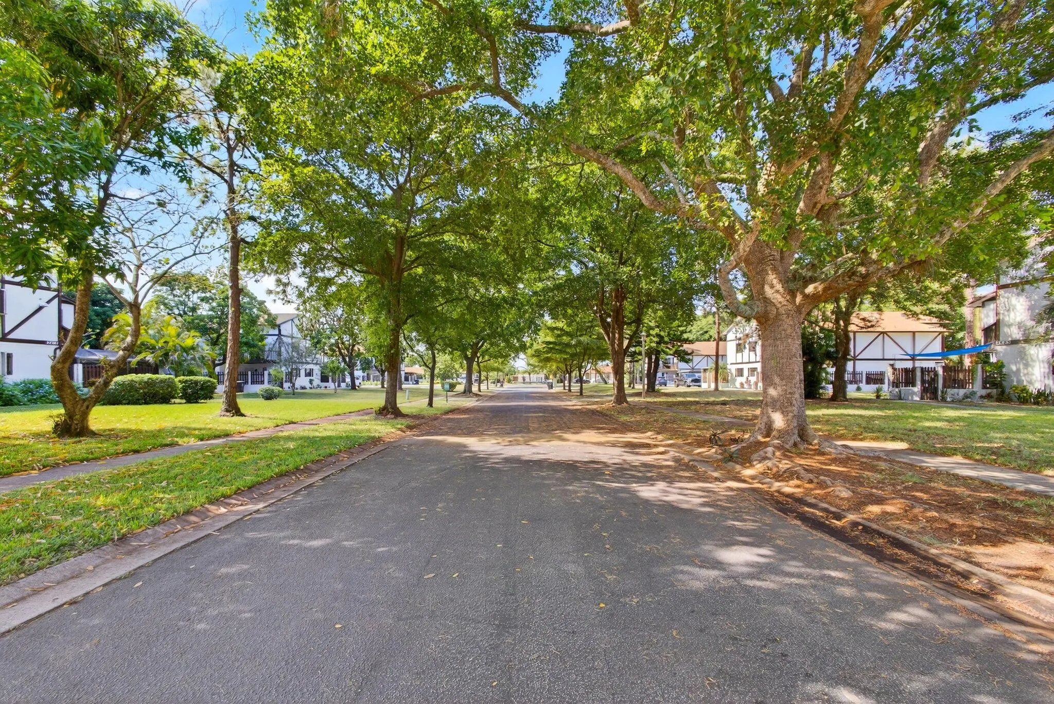 2399 Lena Lane