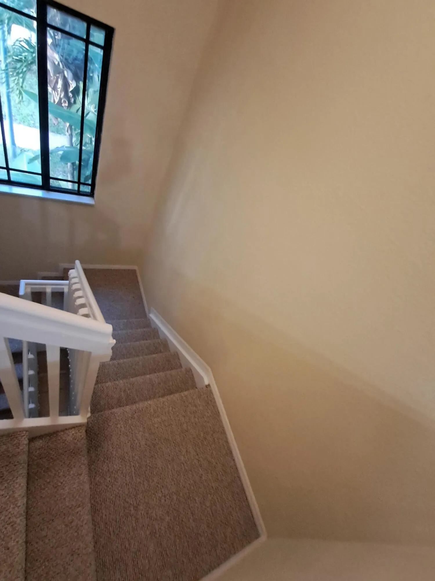 2807 Veronia Drive, #101