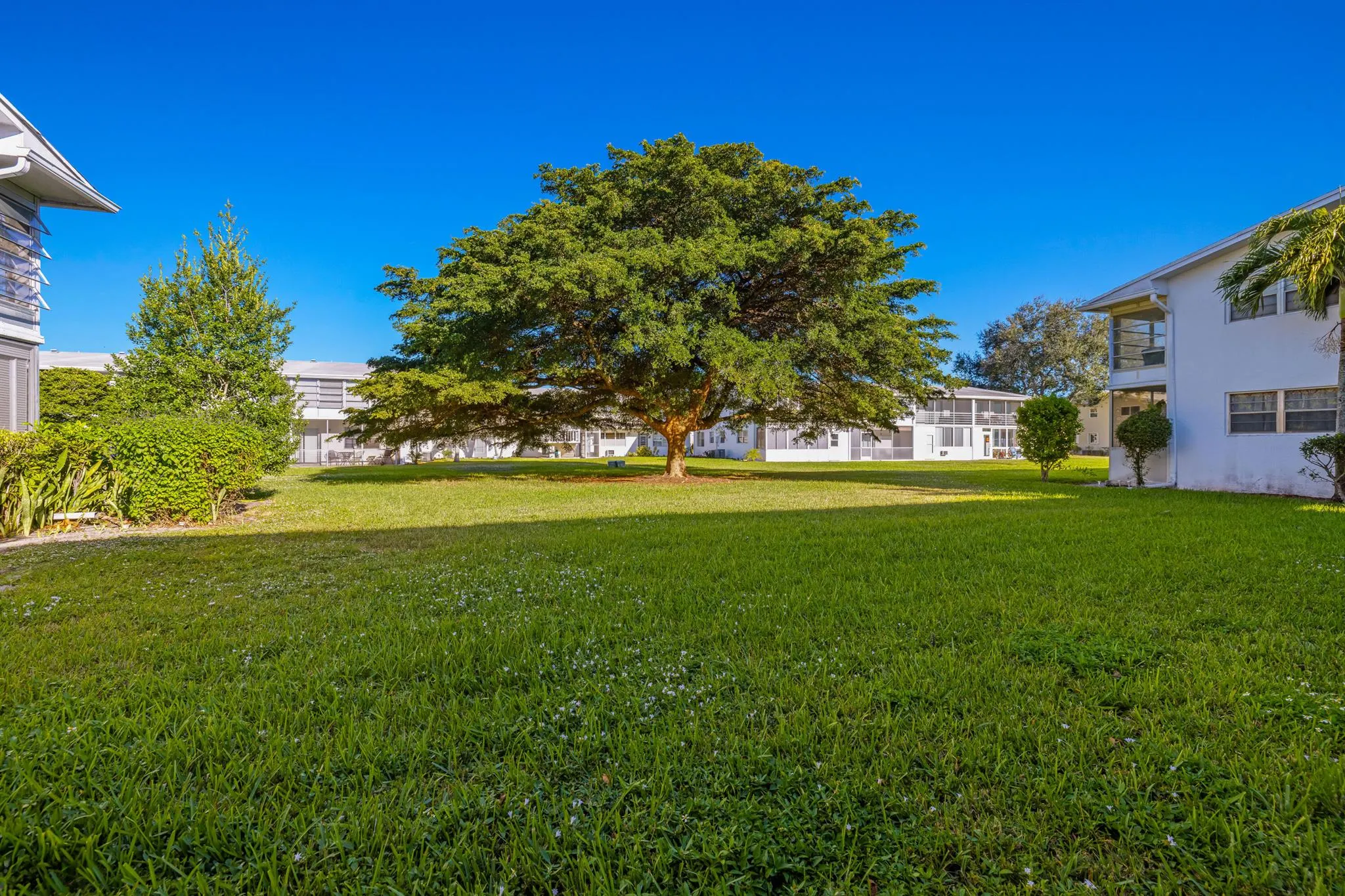 310 Farnham M, #310
