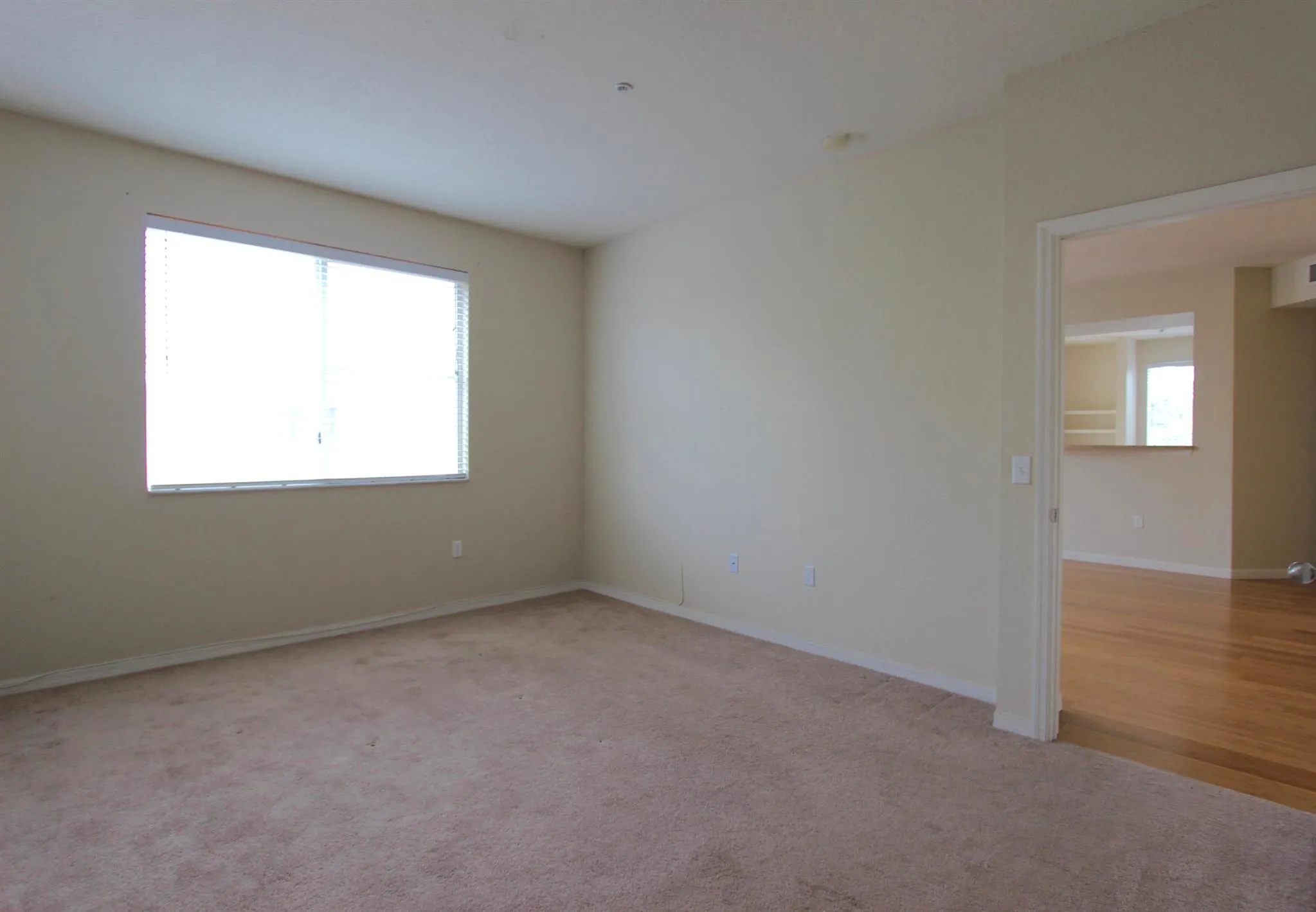 11014 Legacy Drive, #302