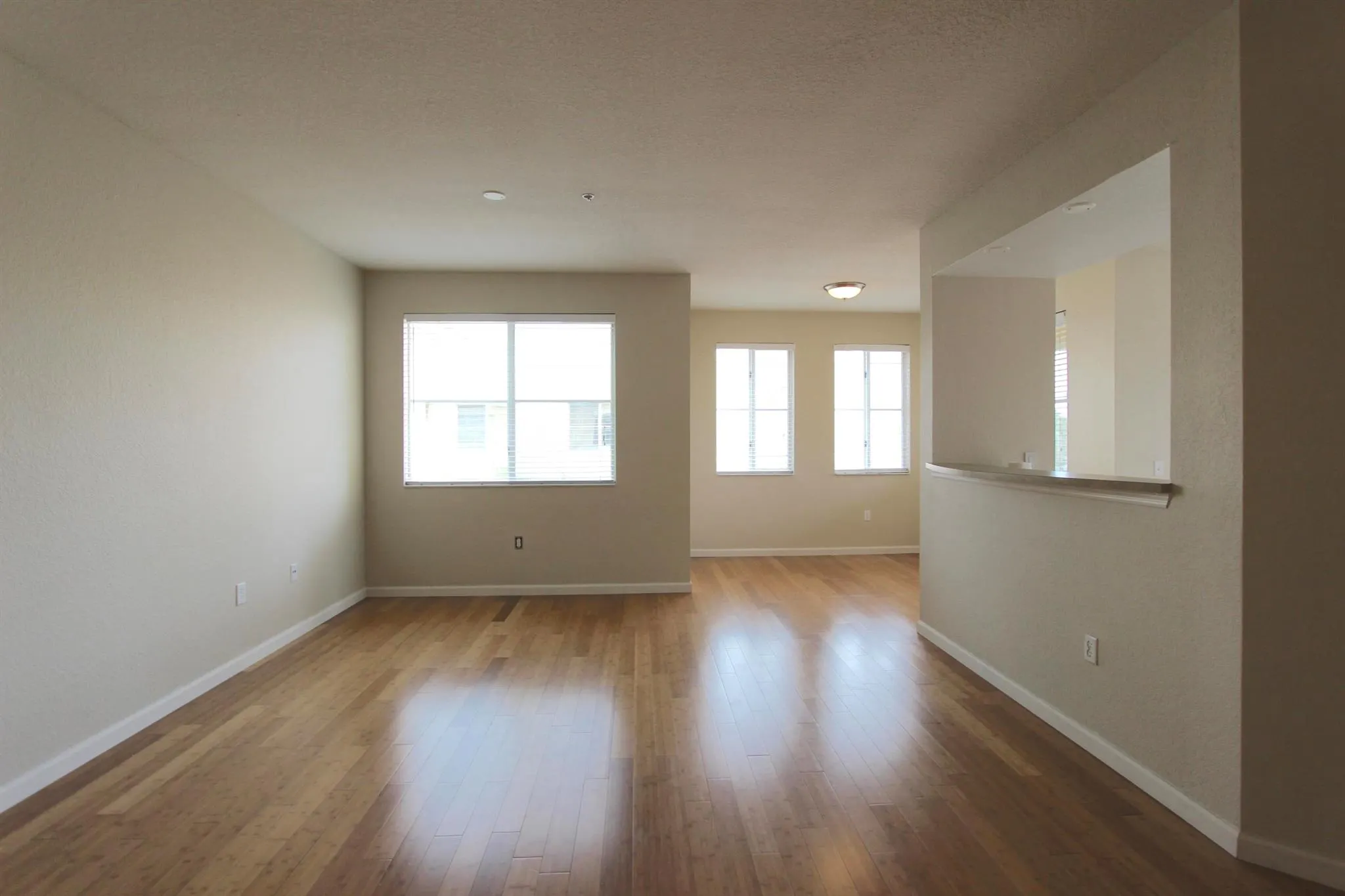 11014 Legacy Drive, #302
