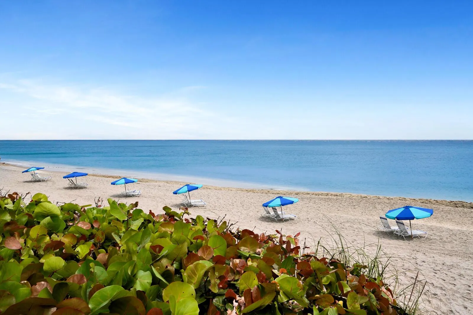 4200 N Ocean Drive, #1-1601