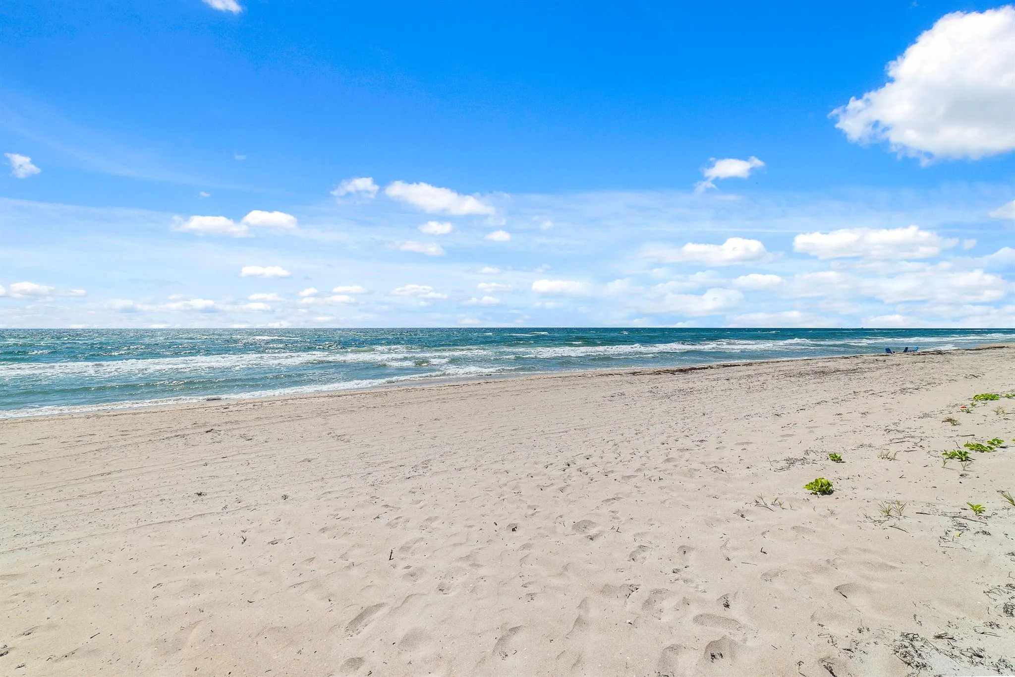 1043 Hillsboro Mile, #17c