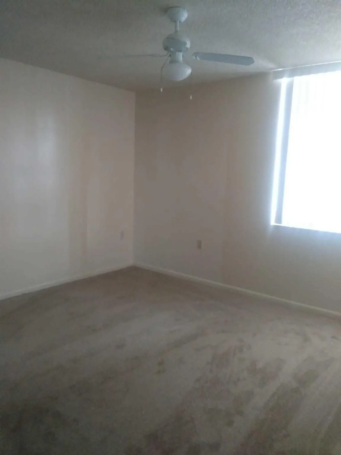 3626 Whitehall Drive, #304