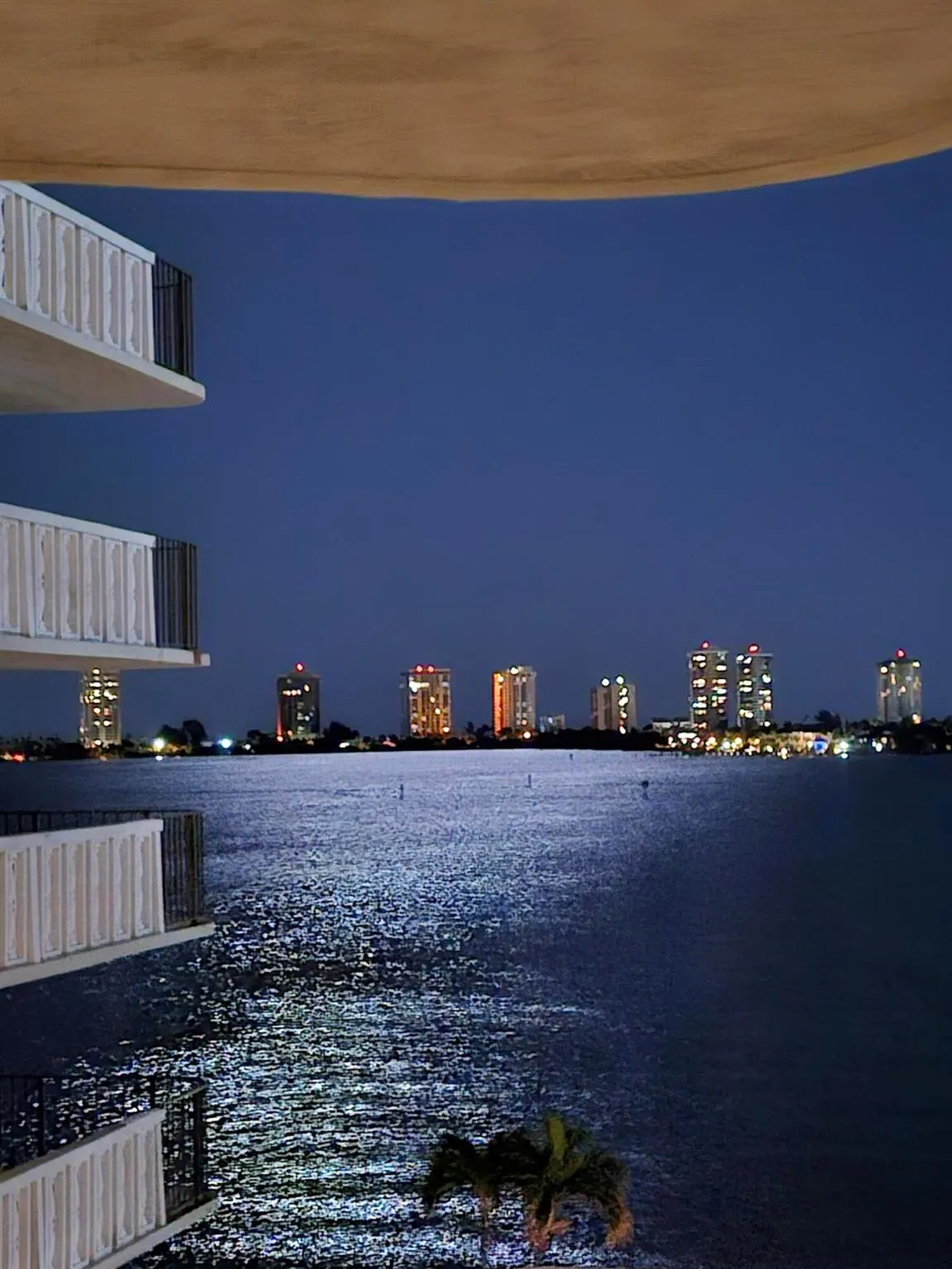 801 Lake Shore Drive, #310