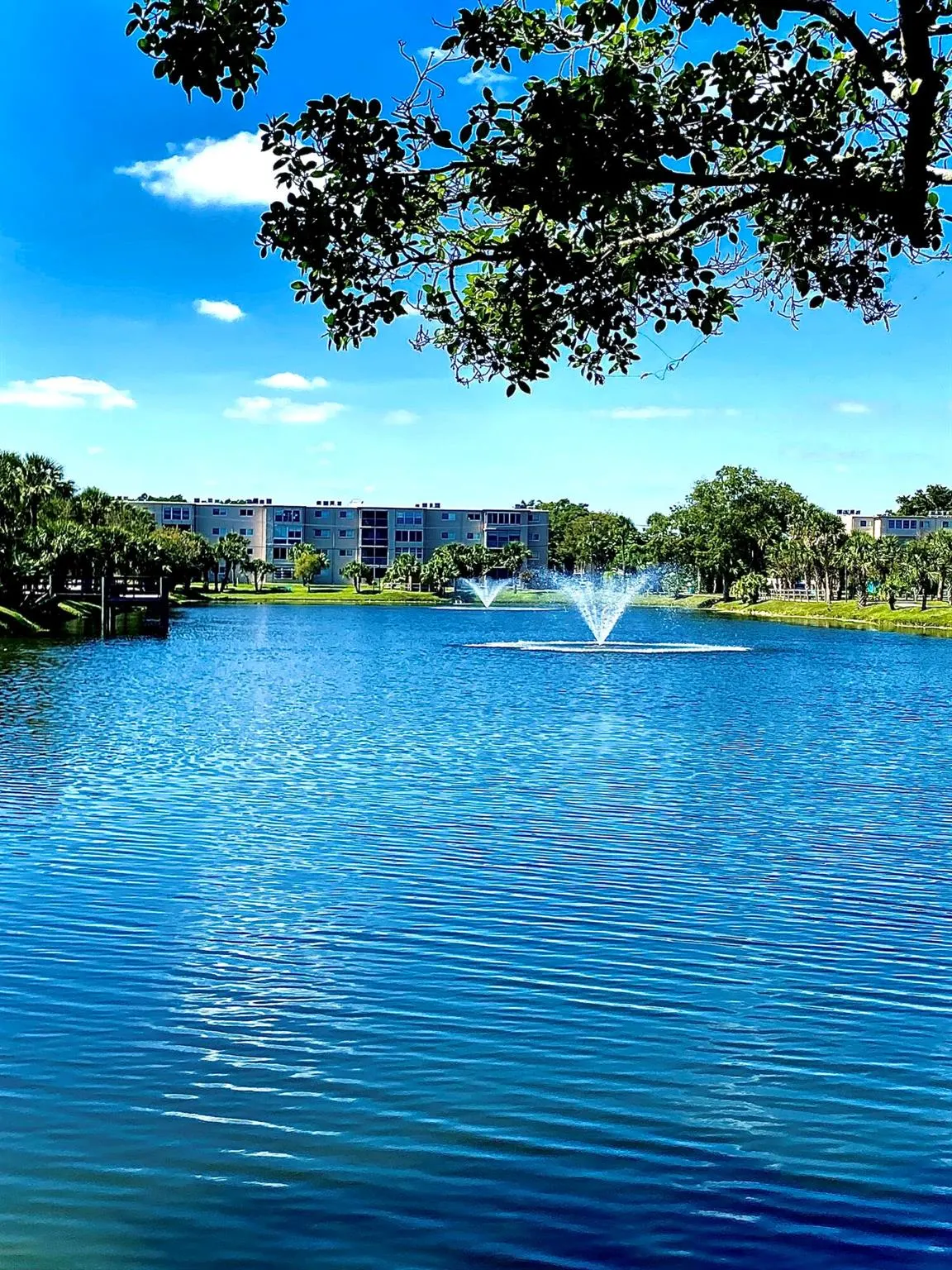 705 Lori Drive, #204