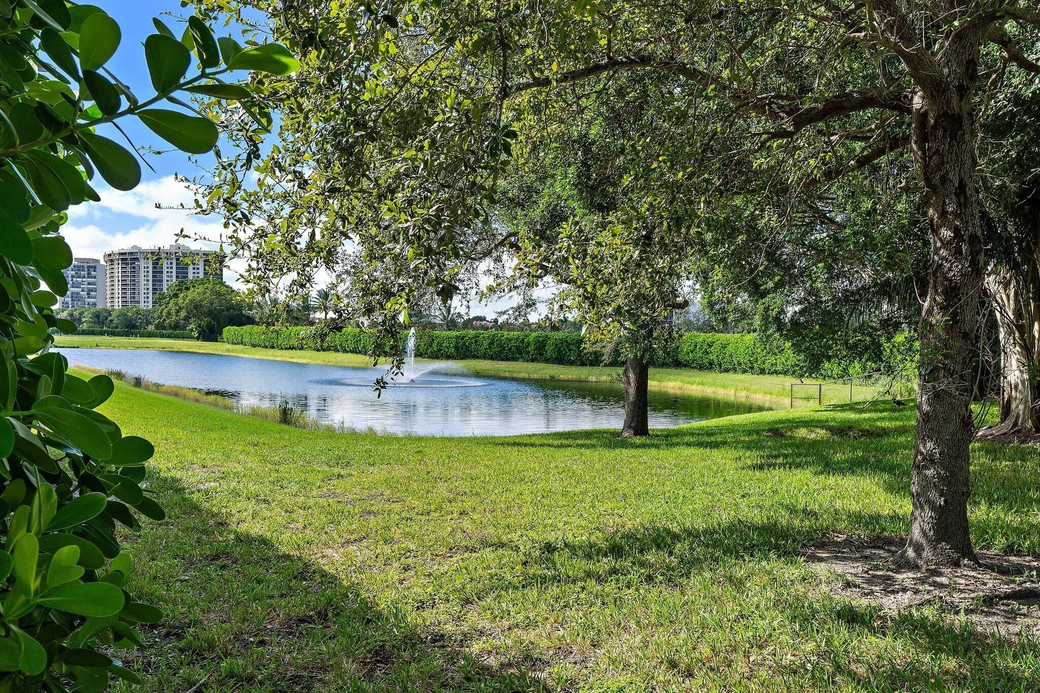 2908 Gin Berry Way