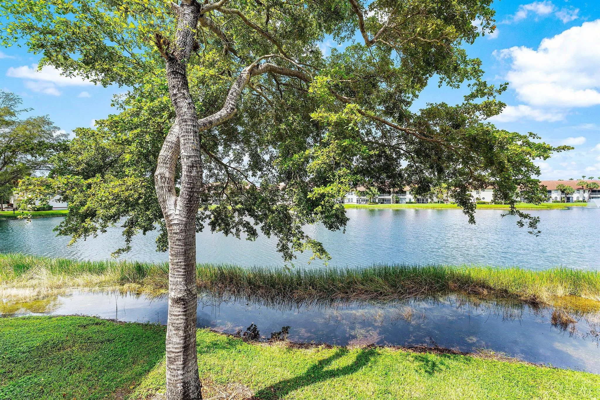 168 Cypress Point Drive