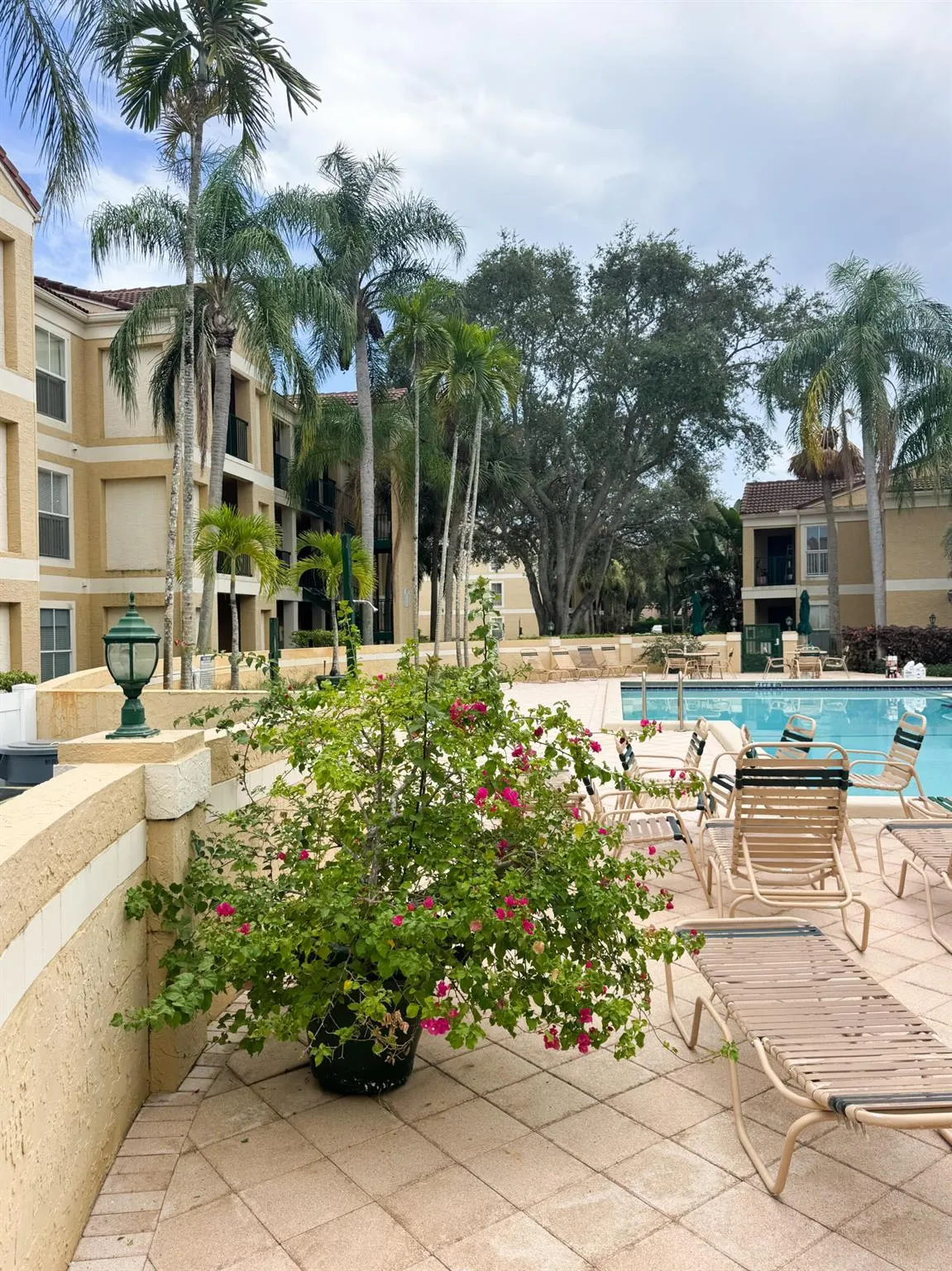 977 Riverside Drive, #232