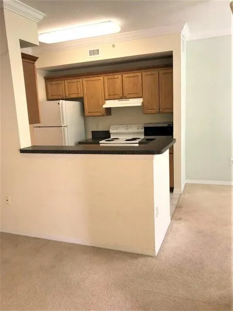 15015 Michelangelo Boulevard, #206