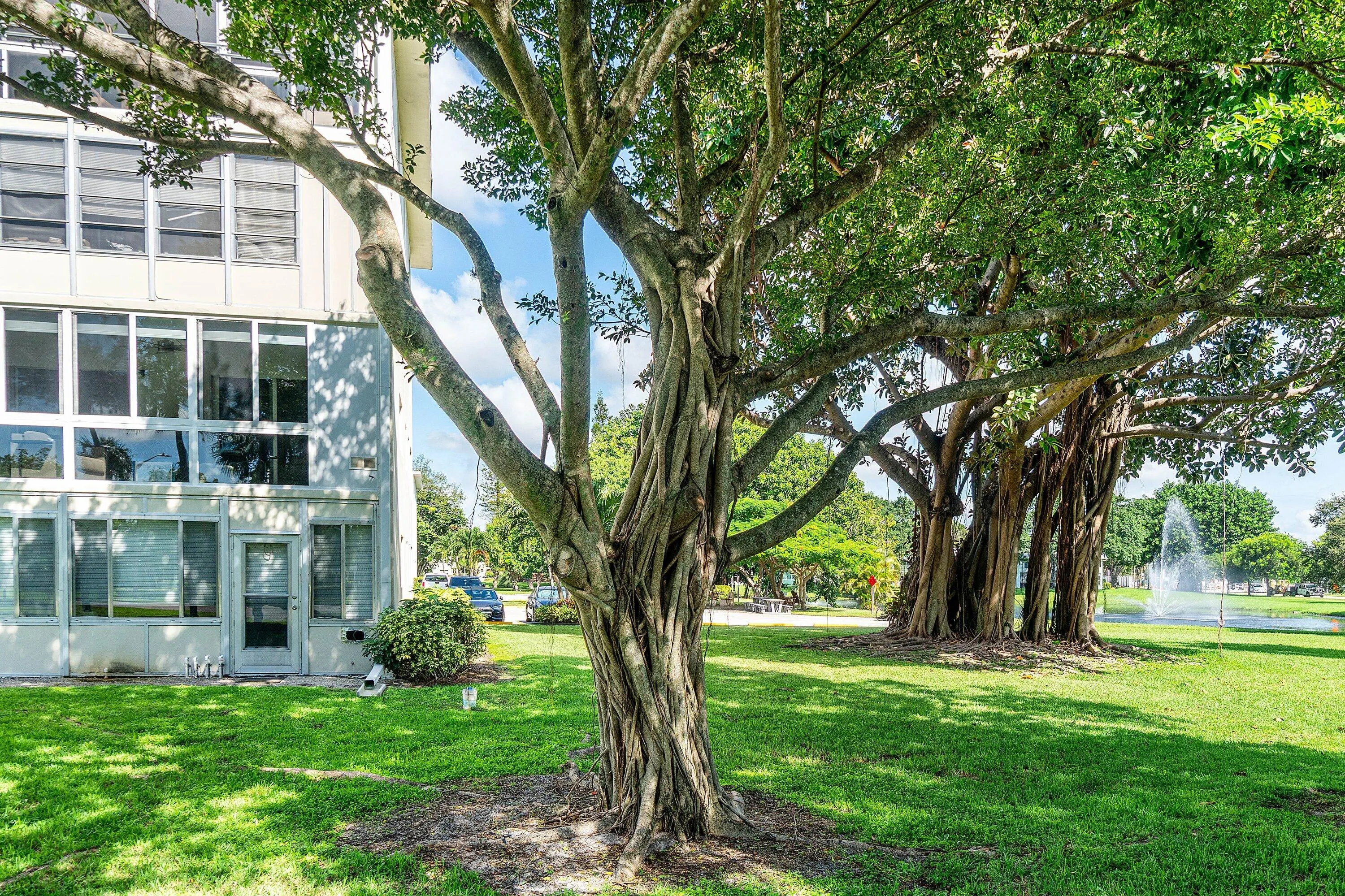 4015 Cambridge A