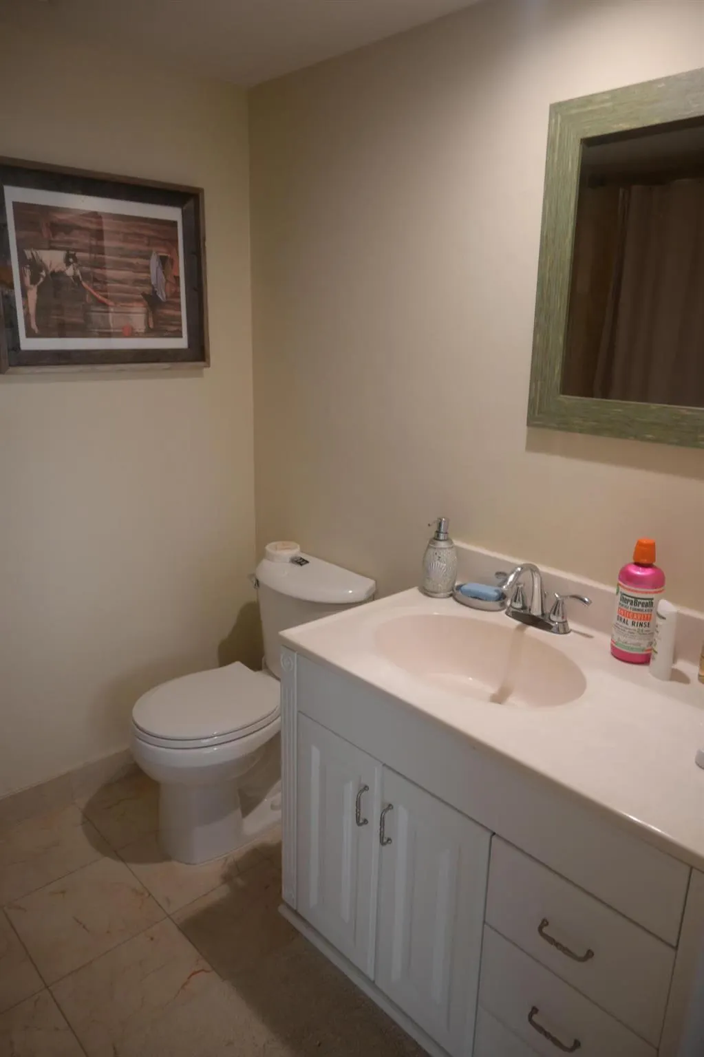 1 Harbourside Drive, #3505
