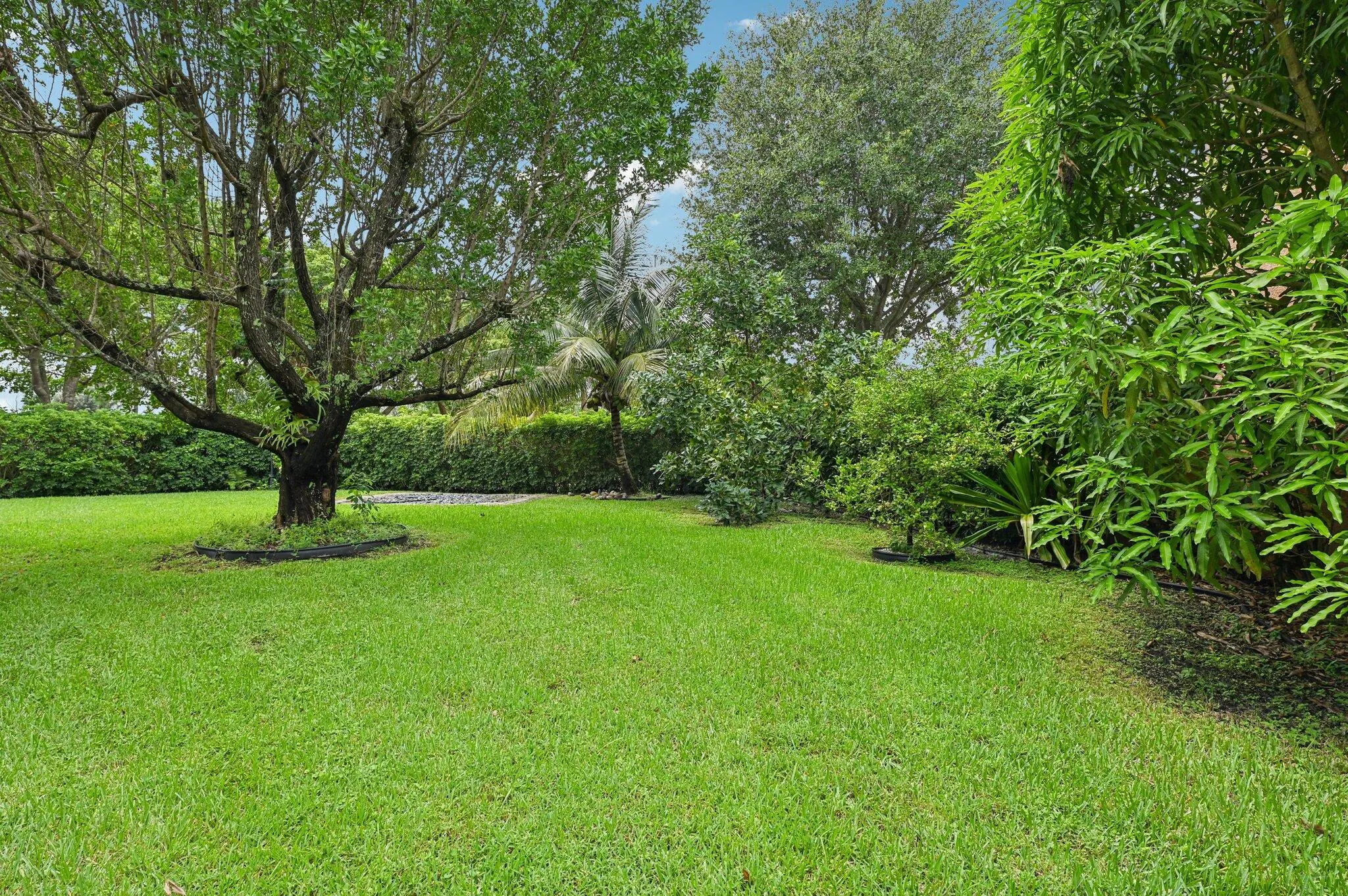 553 Gazetta Way