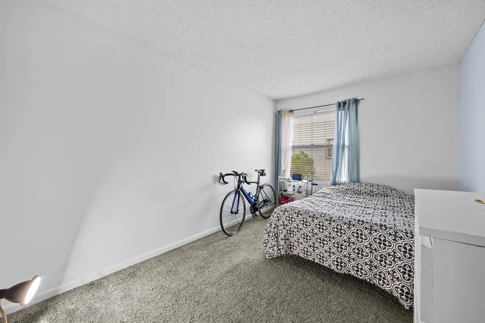1519 Woodbridge Lakes Circle