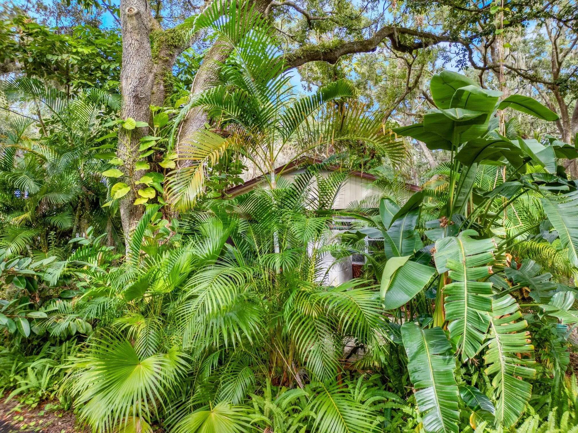 141 Fernery Road, #H3