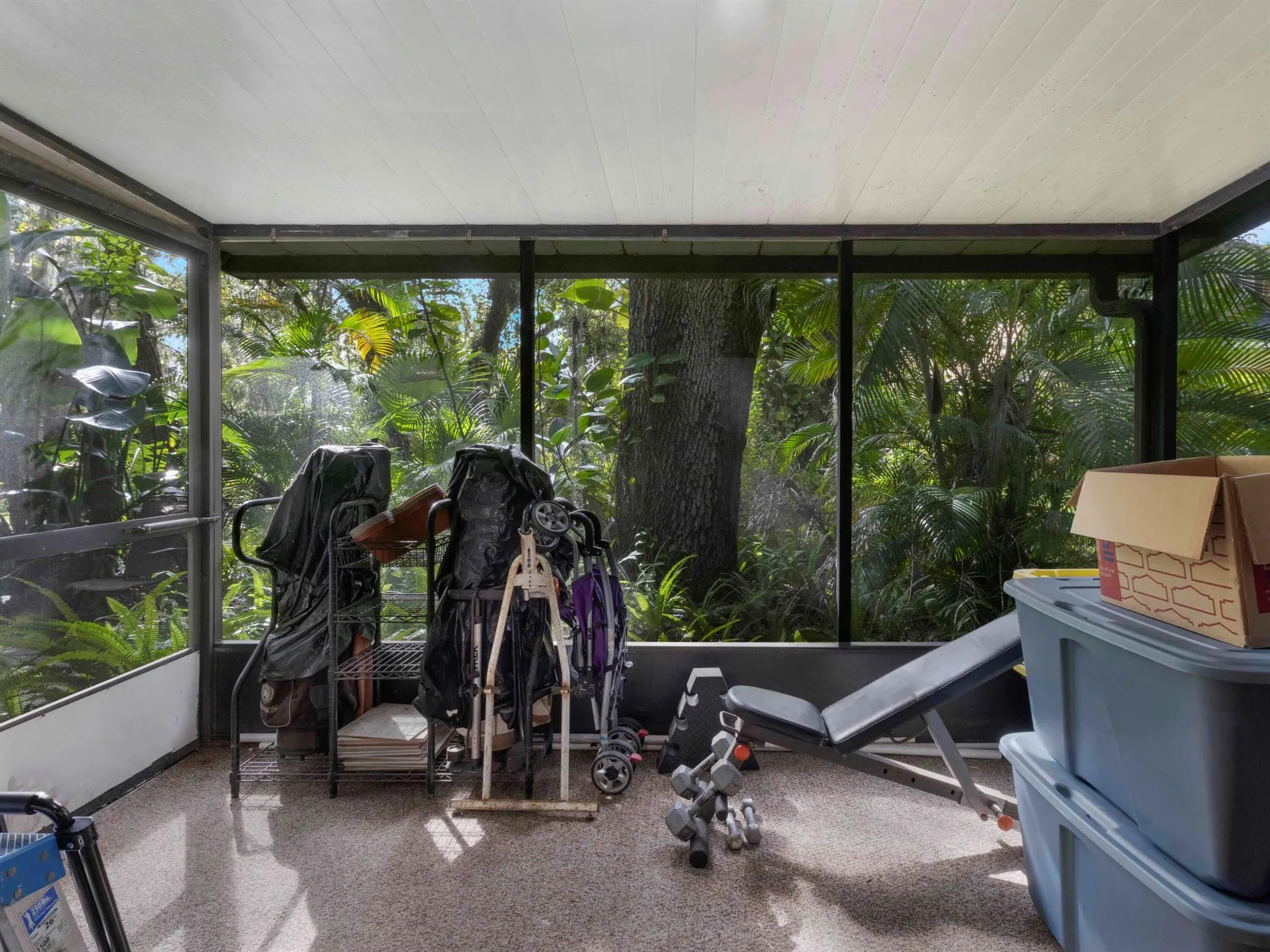141 Fernery Road, #H3