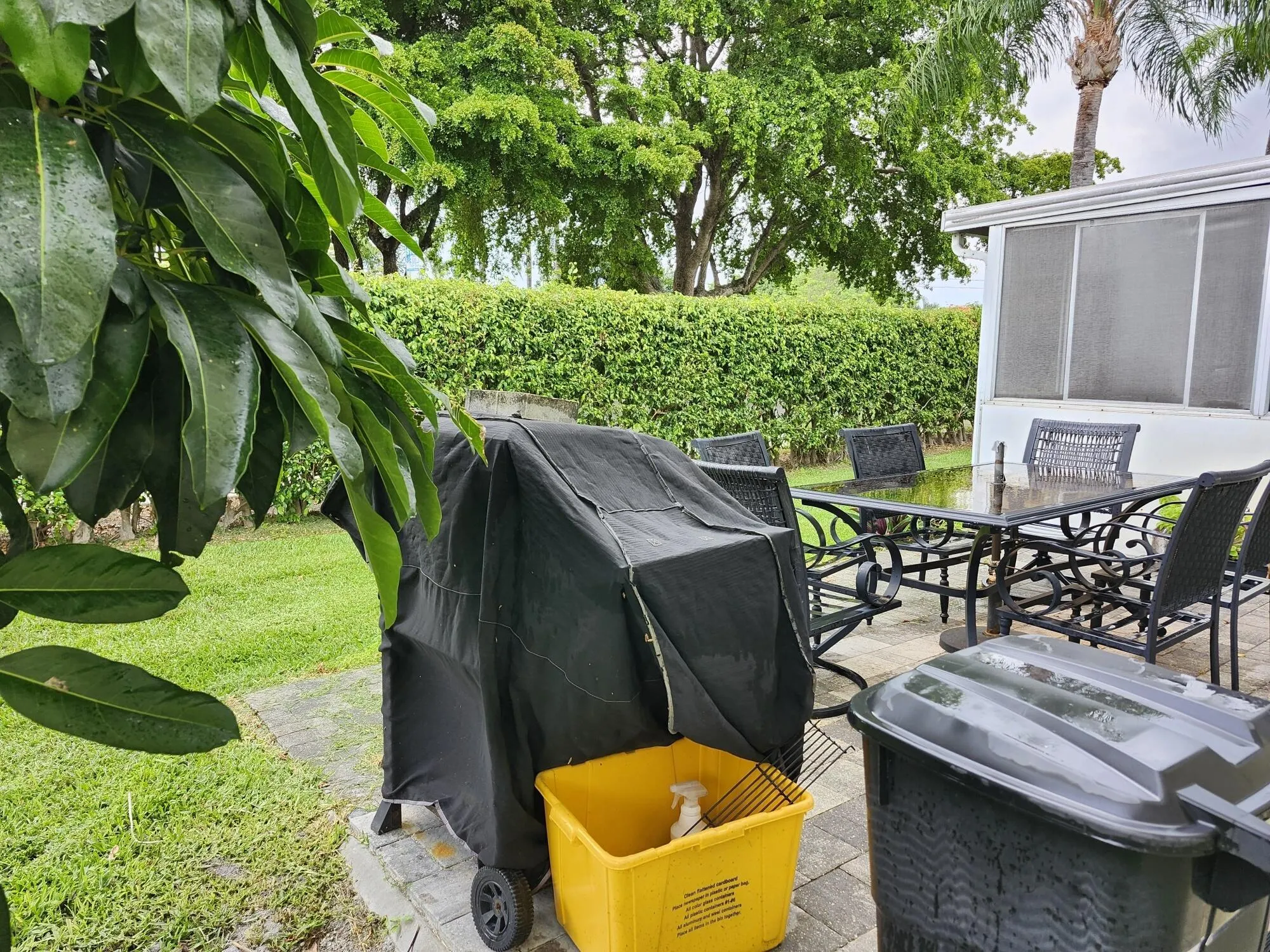 1141 Calamondin Terrace, #101