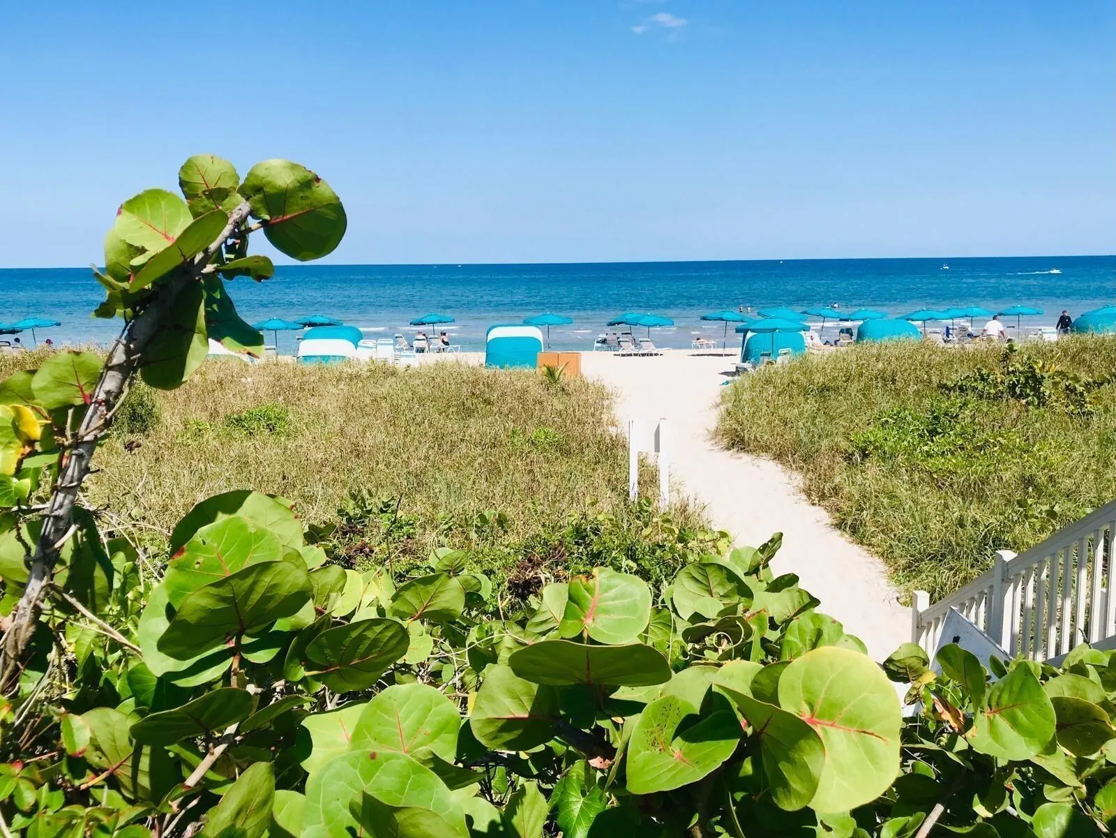 4201 N Ocean Boulevard, #1705