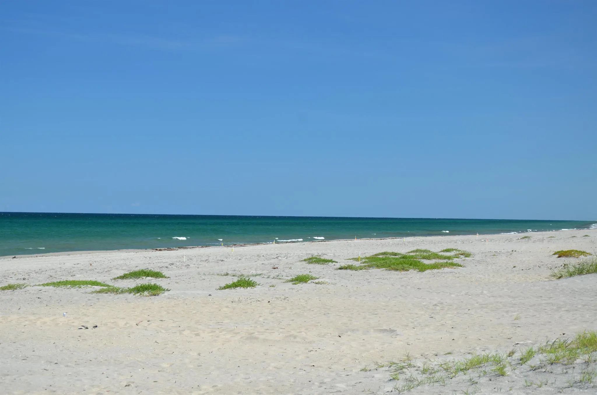 2220 S Ocean Boulevard, #903