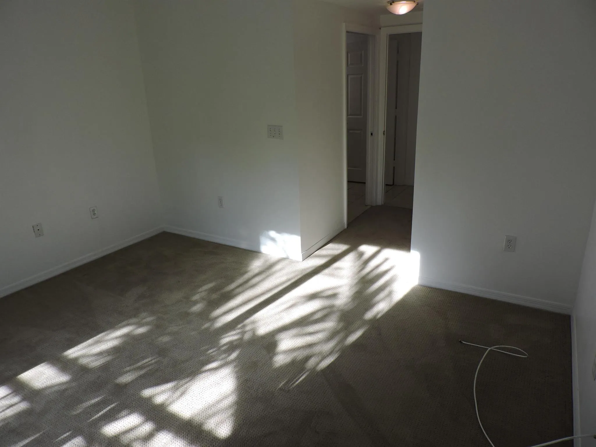 4903 Midtown Lane, #3319