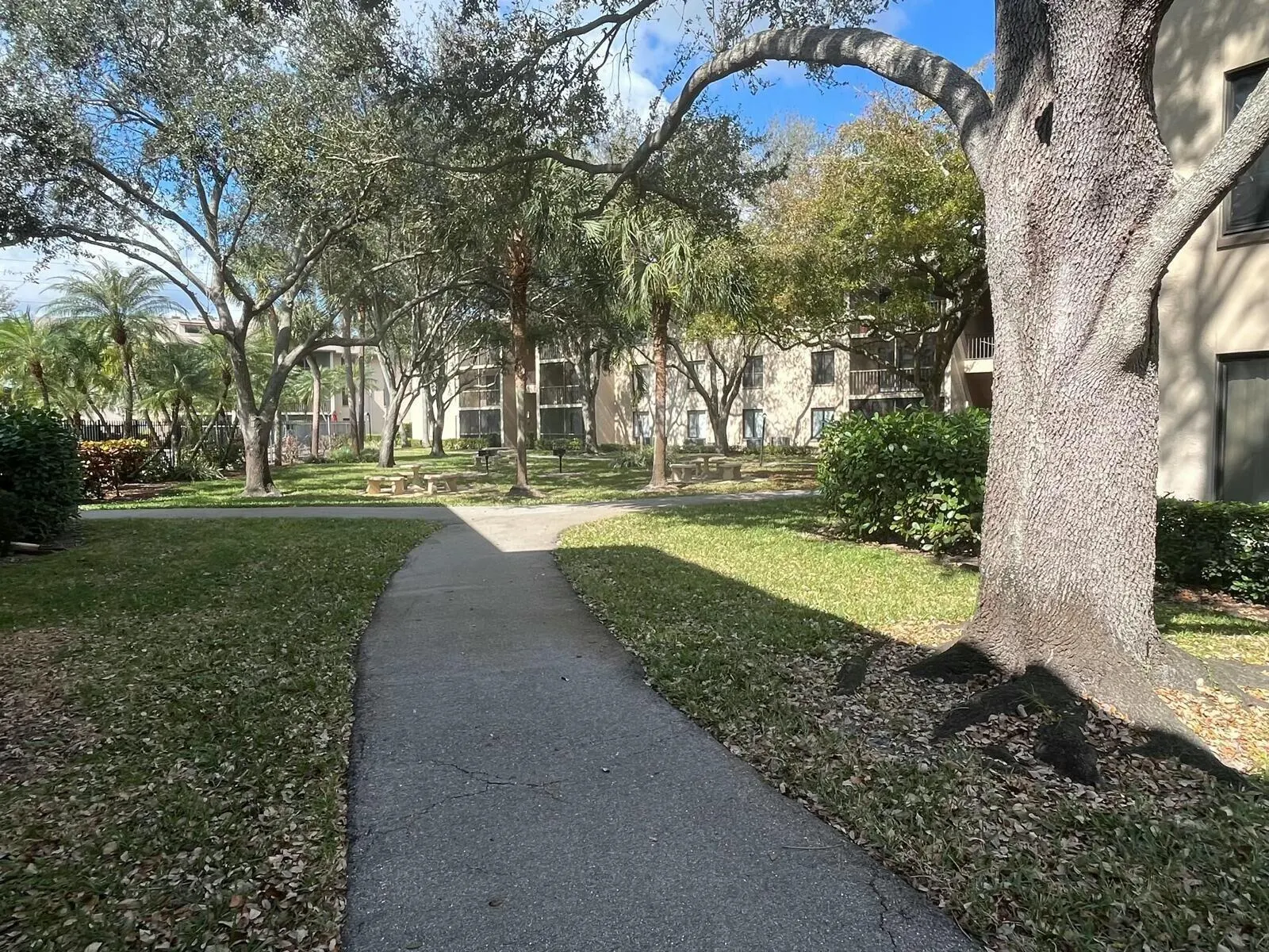 209 Foxtail Drive, #B1