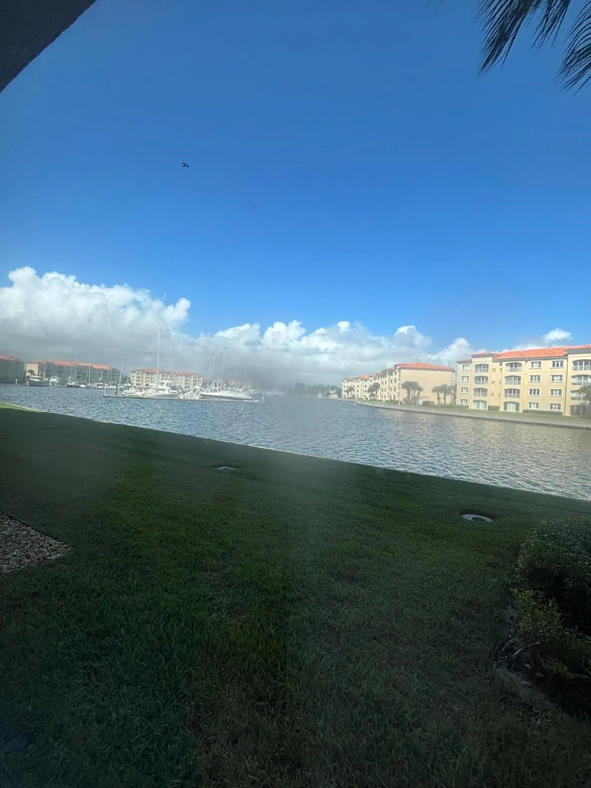 17 Harbour Isle Drive W, #103