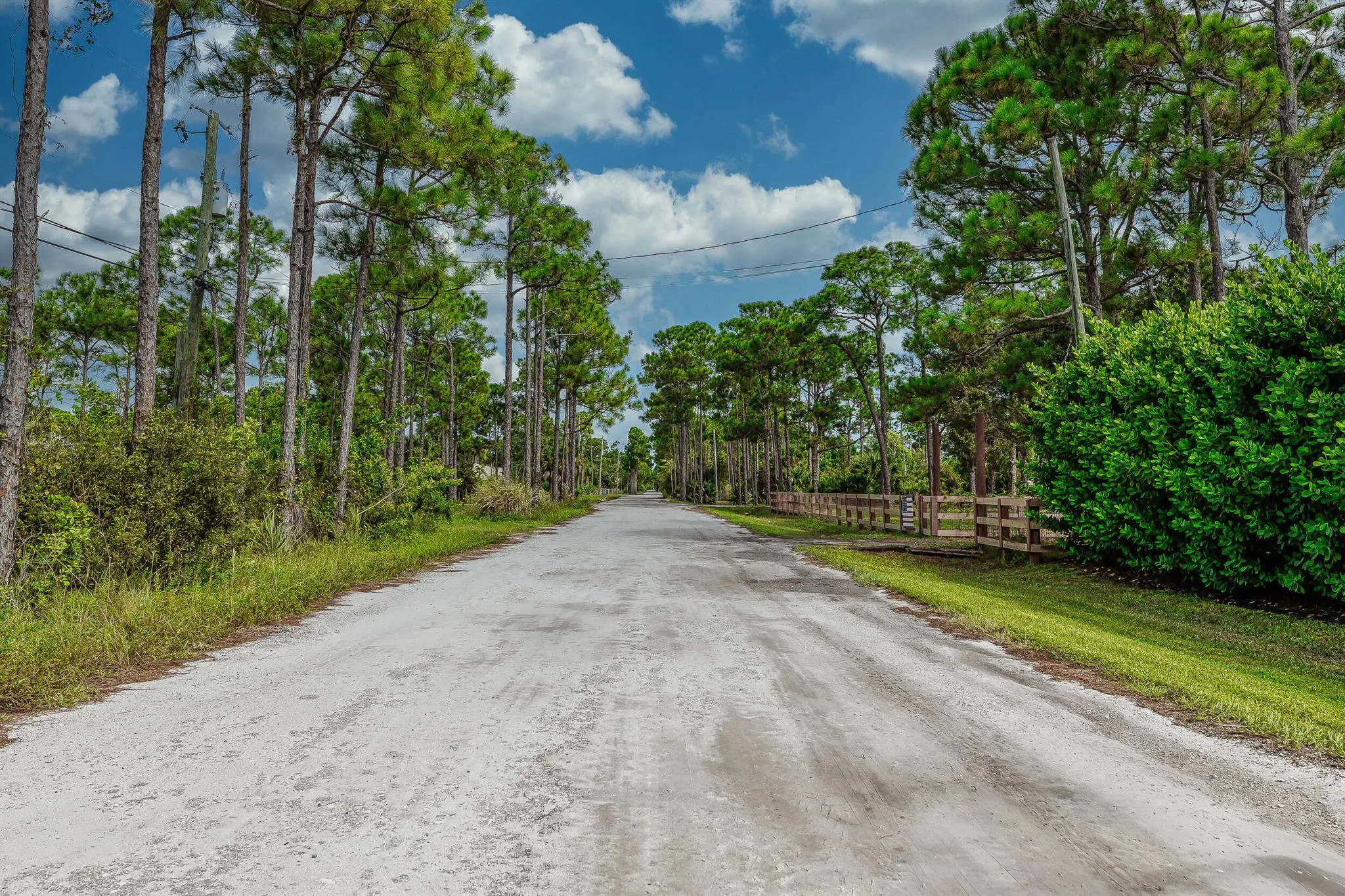 4920 Tree Top Trail