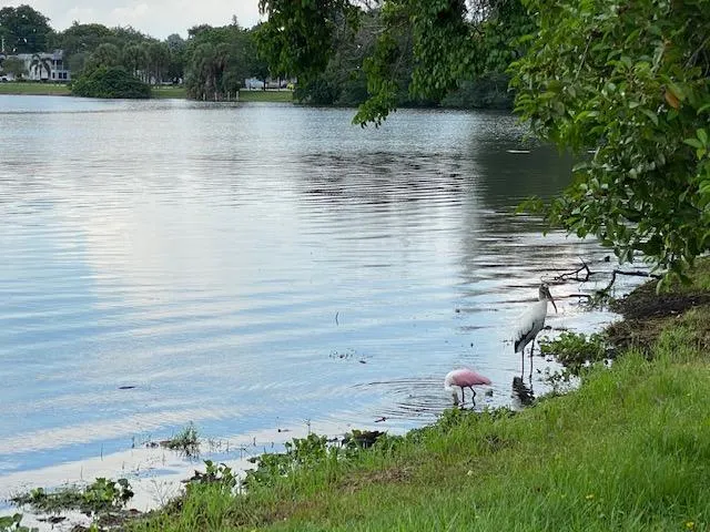 3360 Lake Osborne Drive, #107