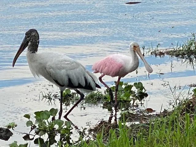 3360 Lake Osborne Drive, #107