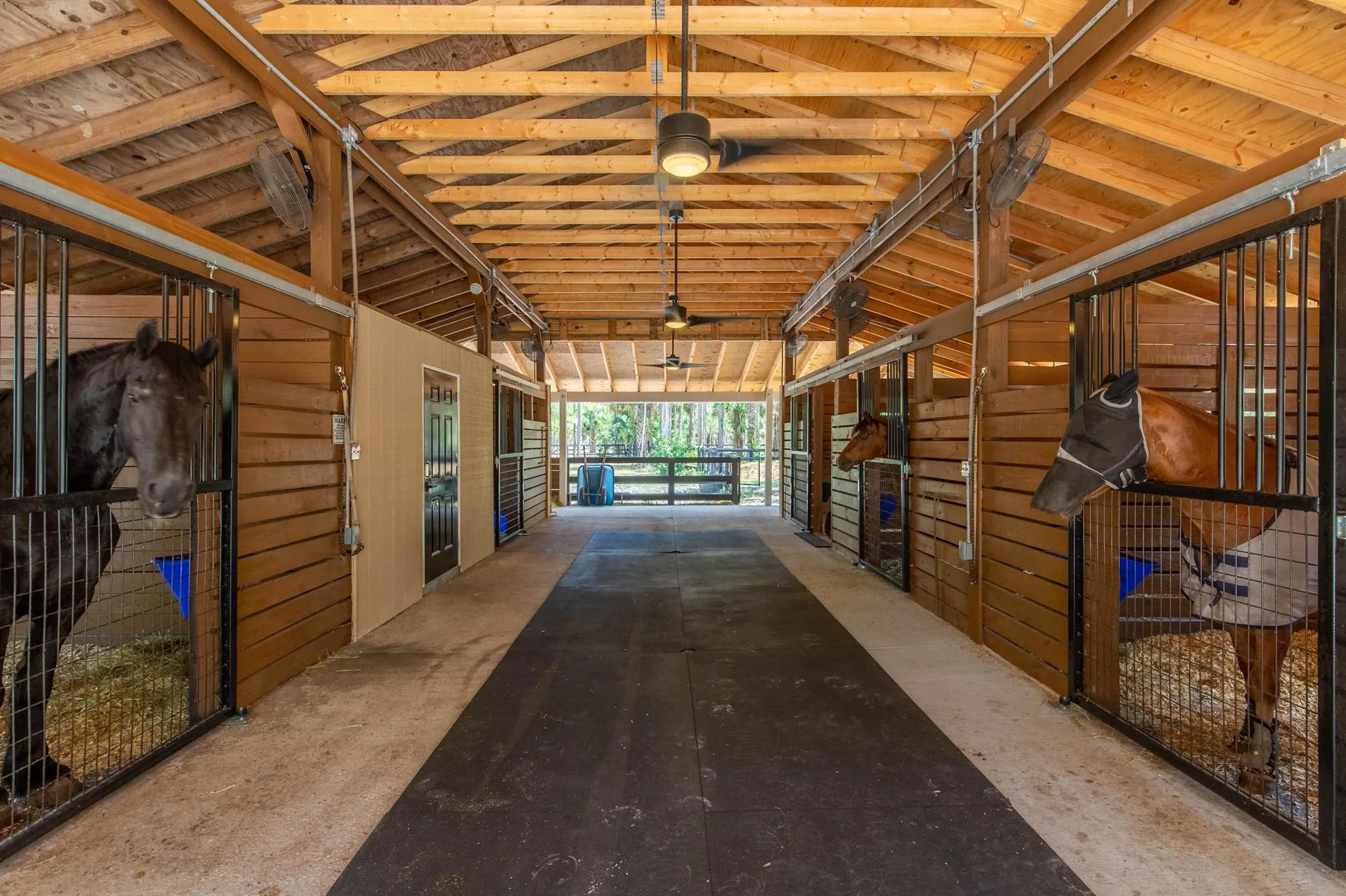 2559 Palm Deer Drive