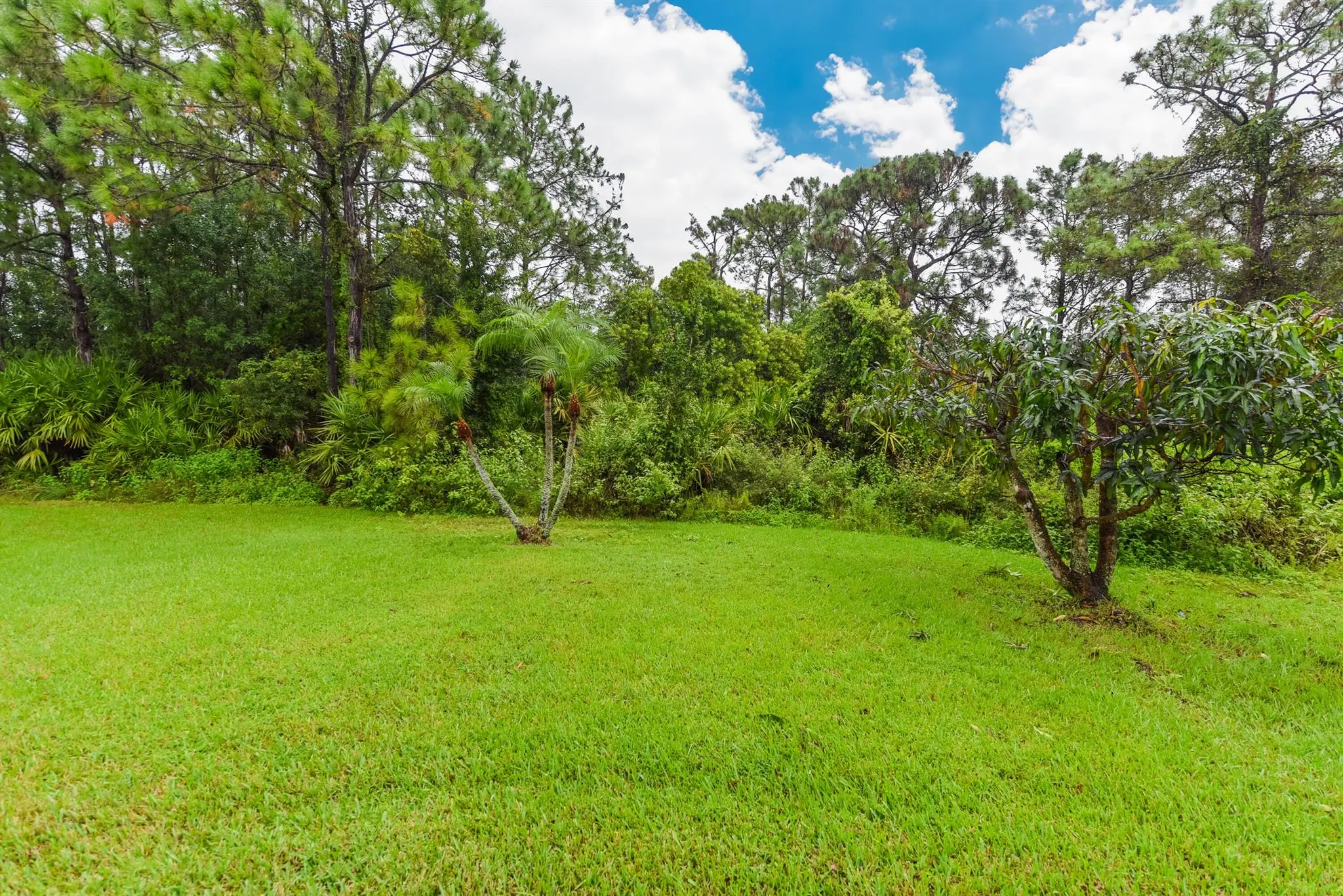 653 SW Munjack Cove