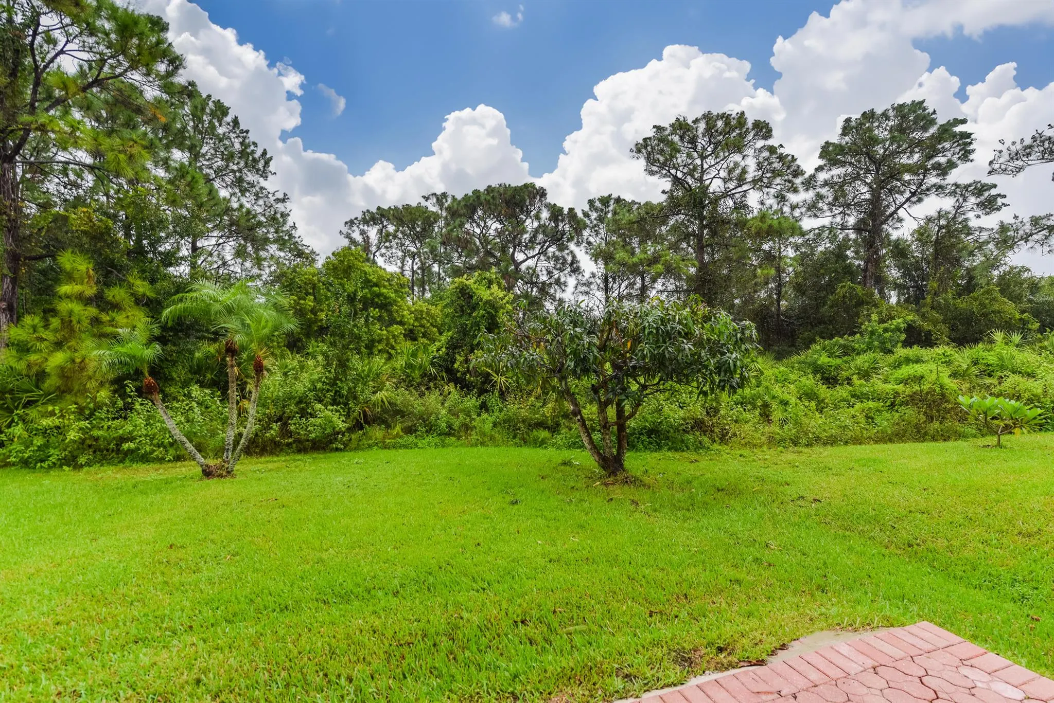 653 SW Munjack Cove