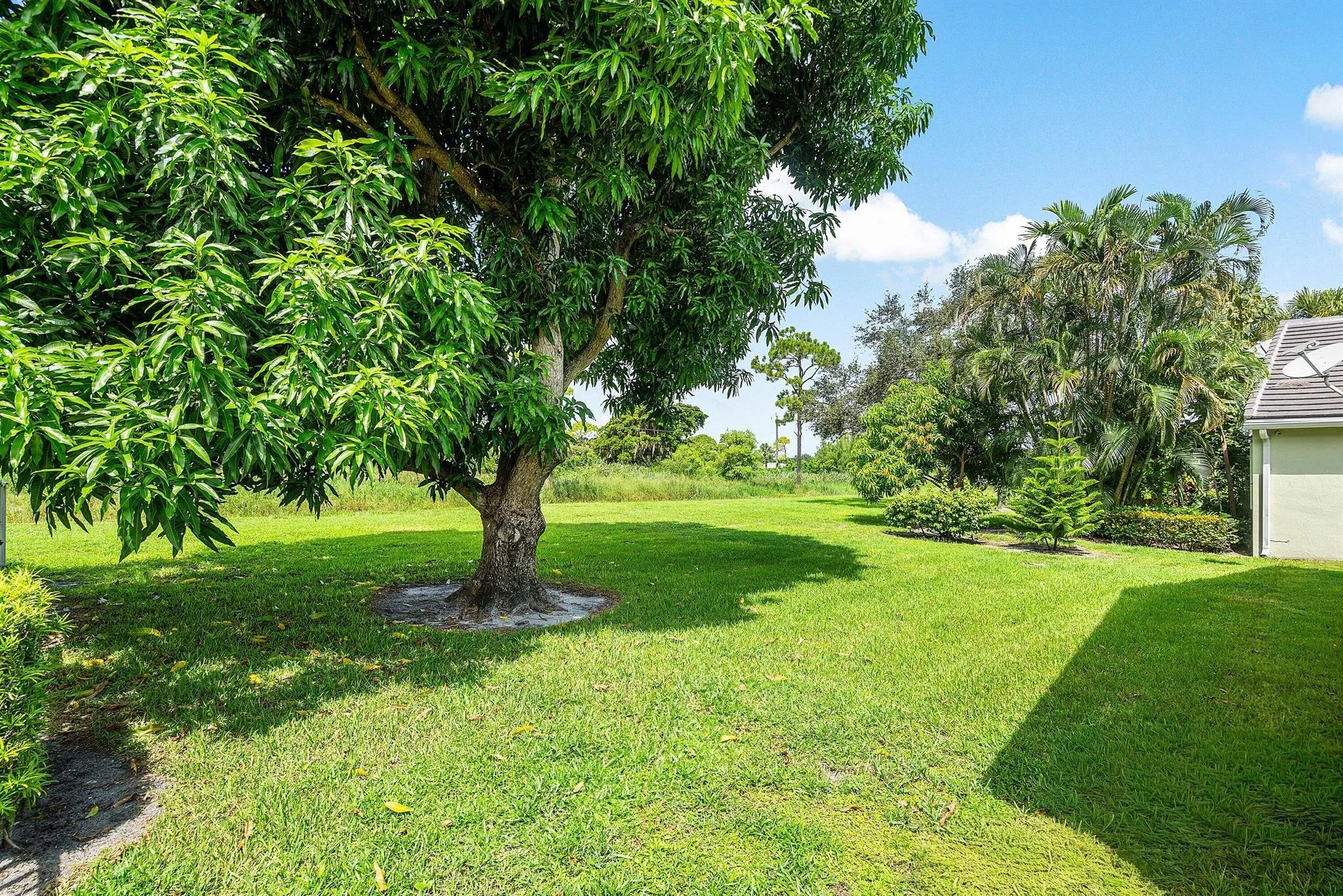 790 Clearbrook Park Circle