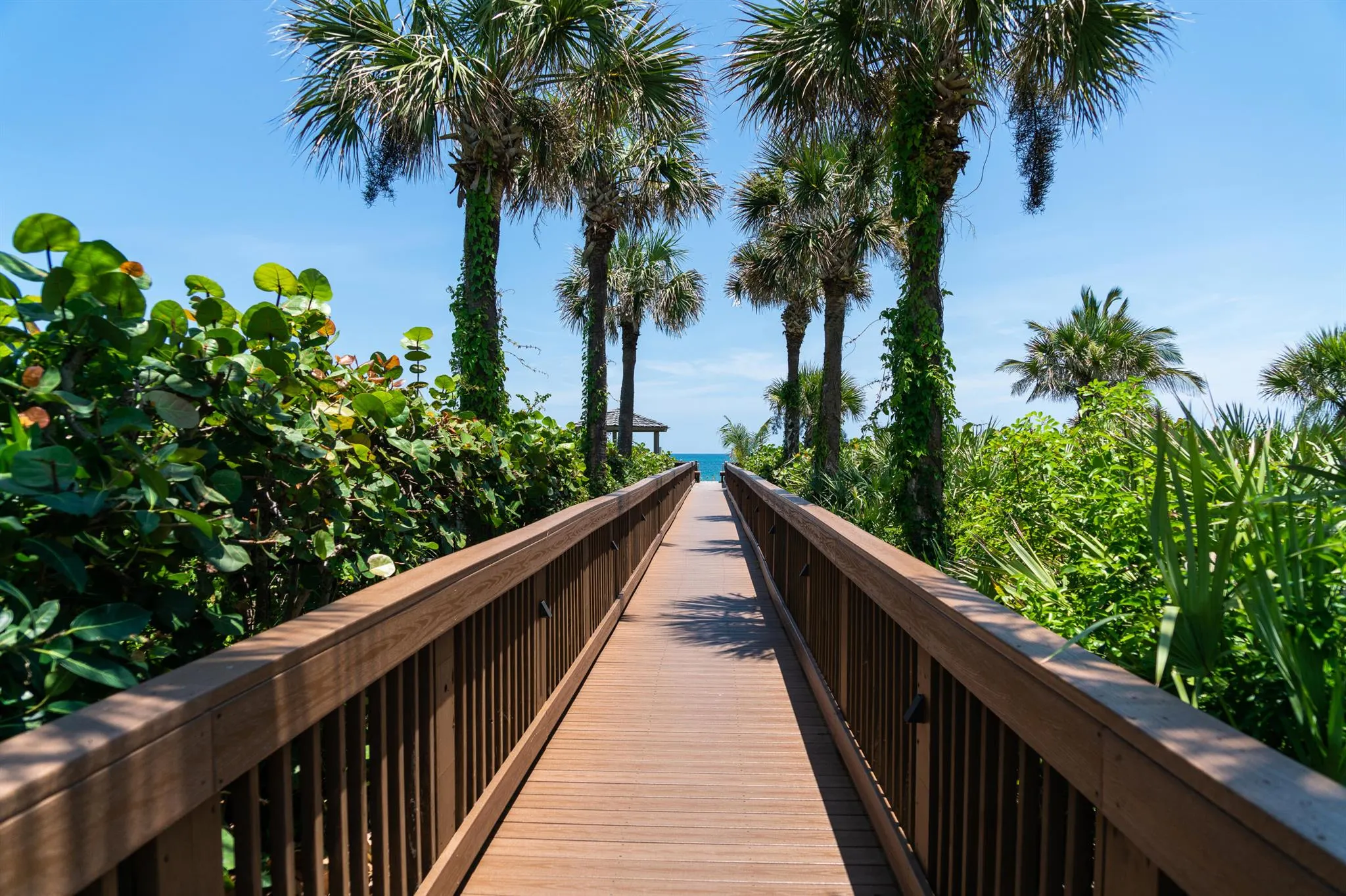 5049 N Highway A1a, #505