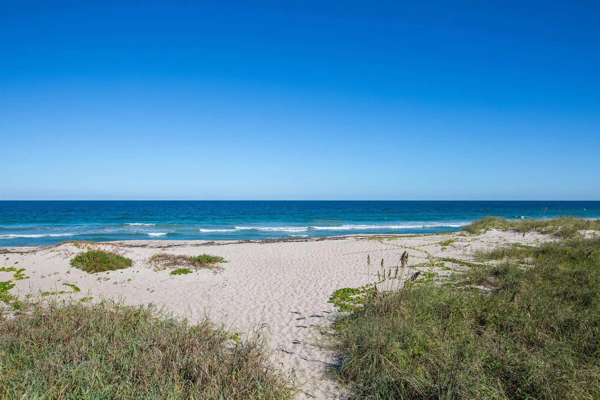 5049 N Highway A1a, #505