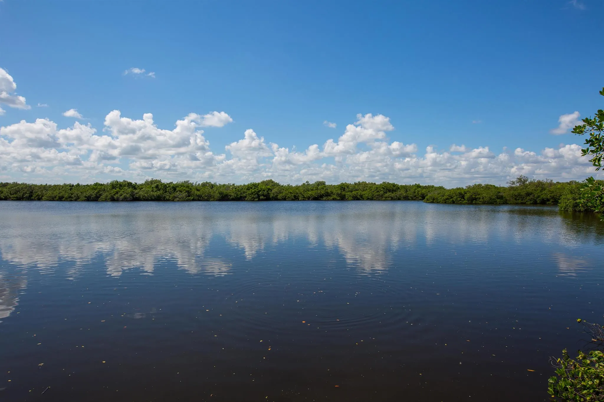 5049 N Highway A1a, #505