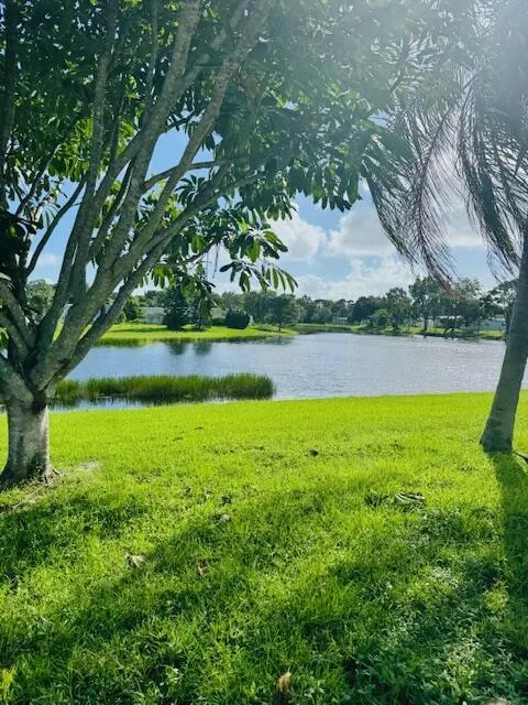 19 W Caribbean